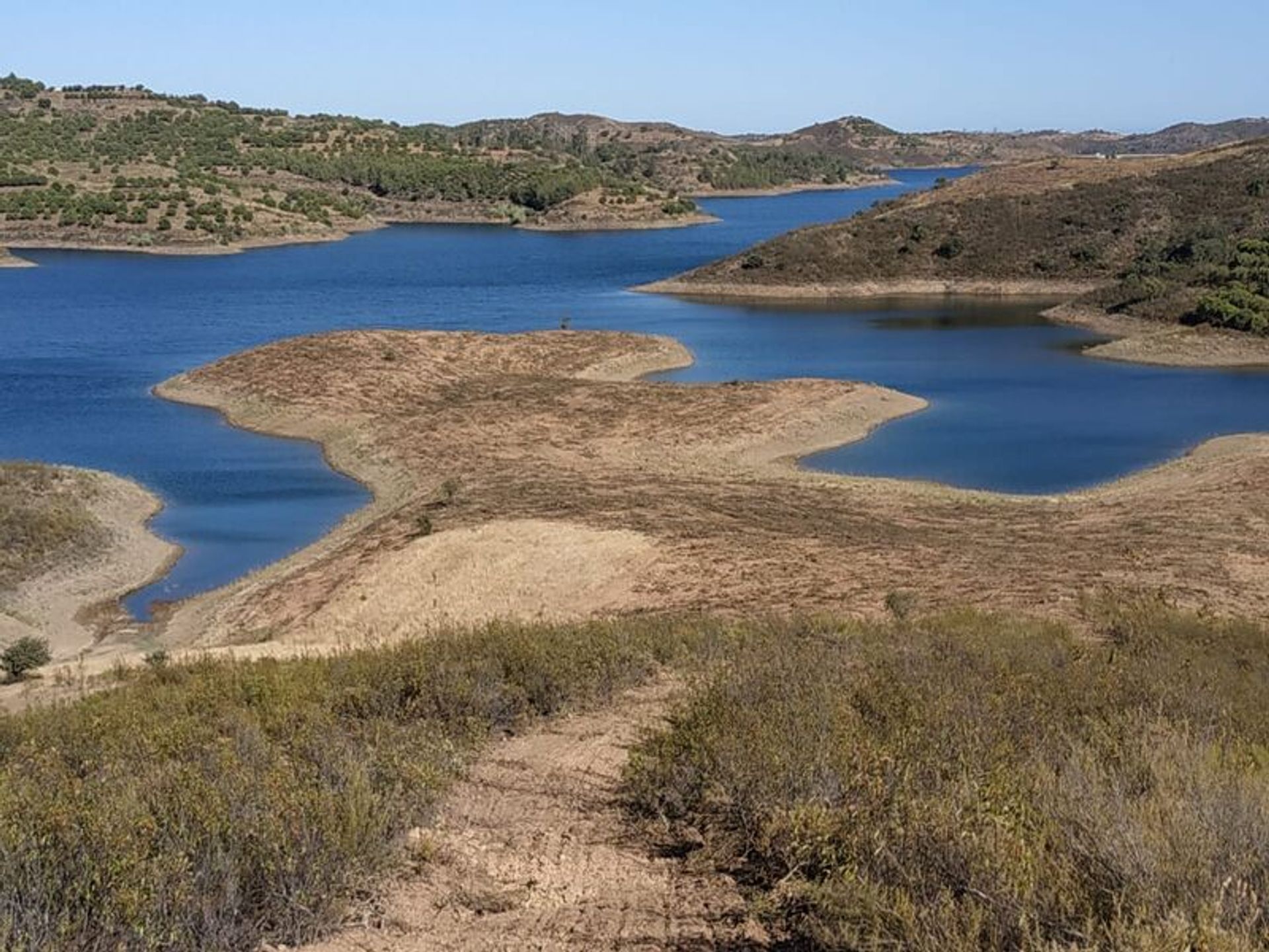 Tierra en azinhal, Faraón 10585770