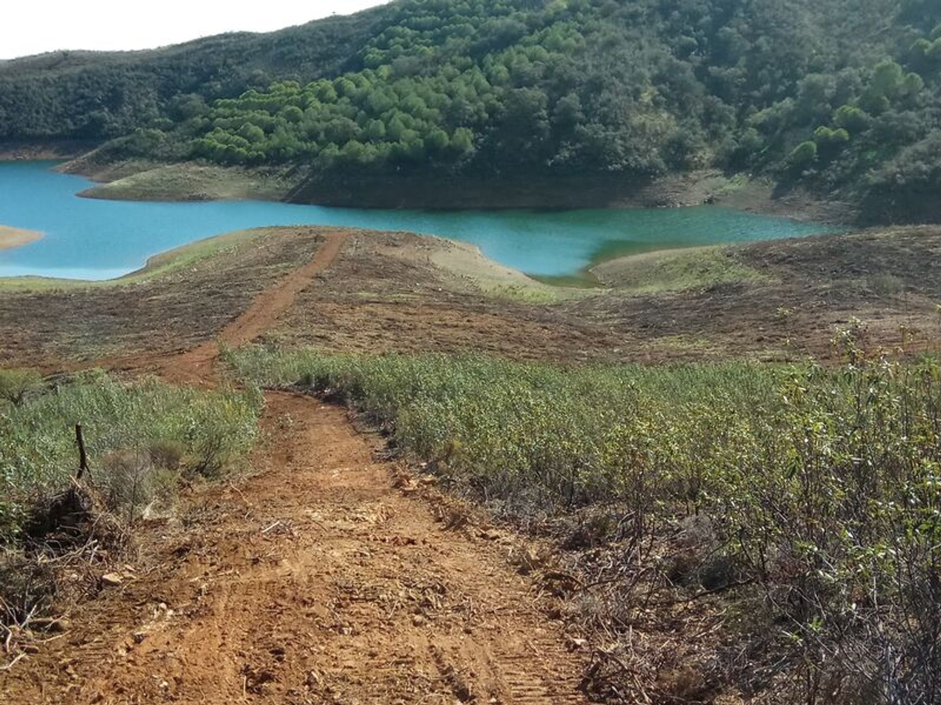 Tierra en azinhal, Faraón 10585770