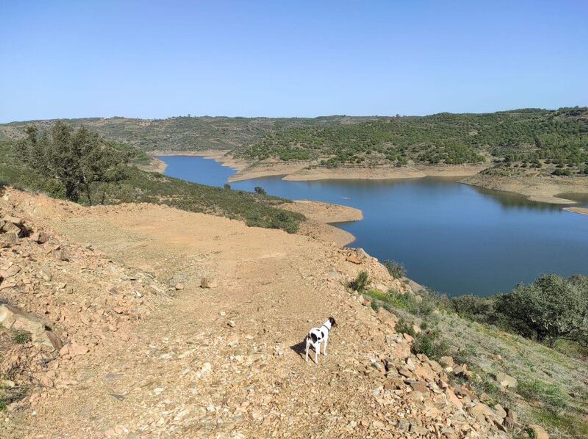 Terra no Azinhal, Faro 10585852