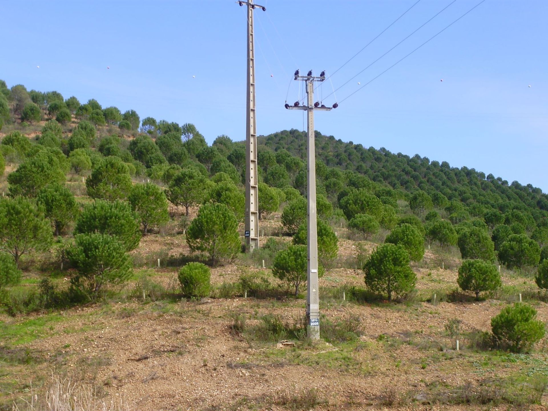 Tierra en São Marcos da Serra, Faro 10585903