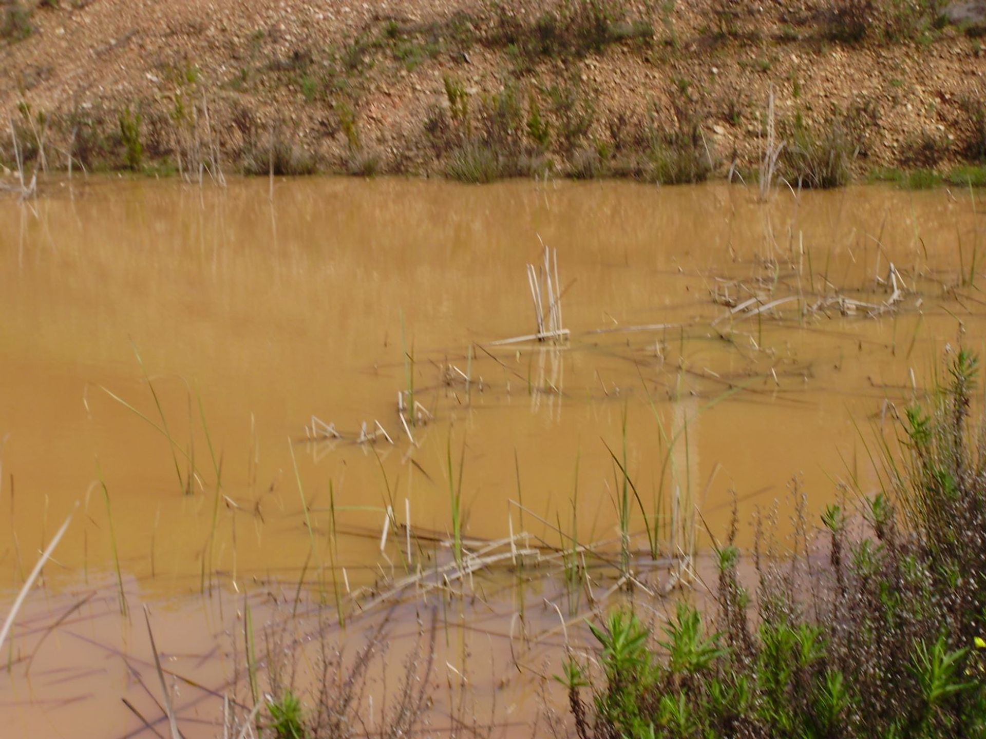 Tierra en São Marcos da Serra, Faro 10585903