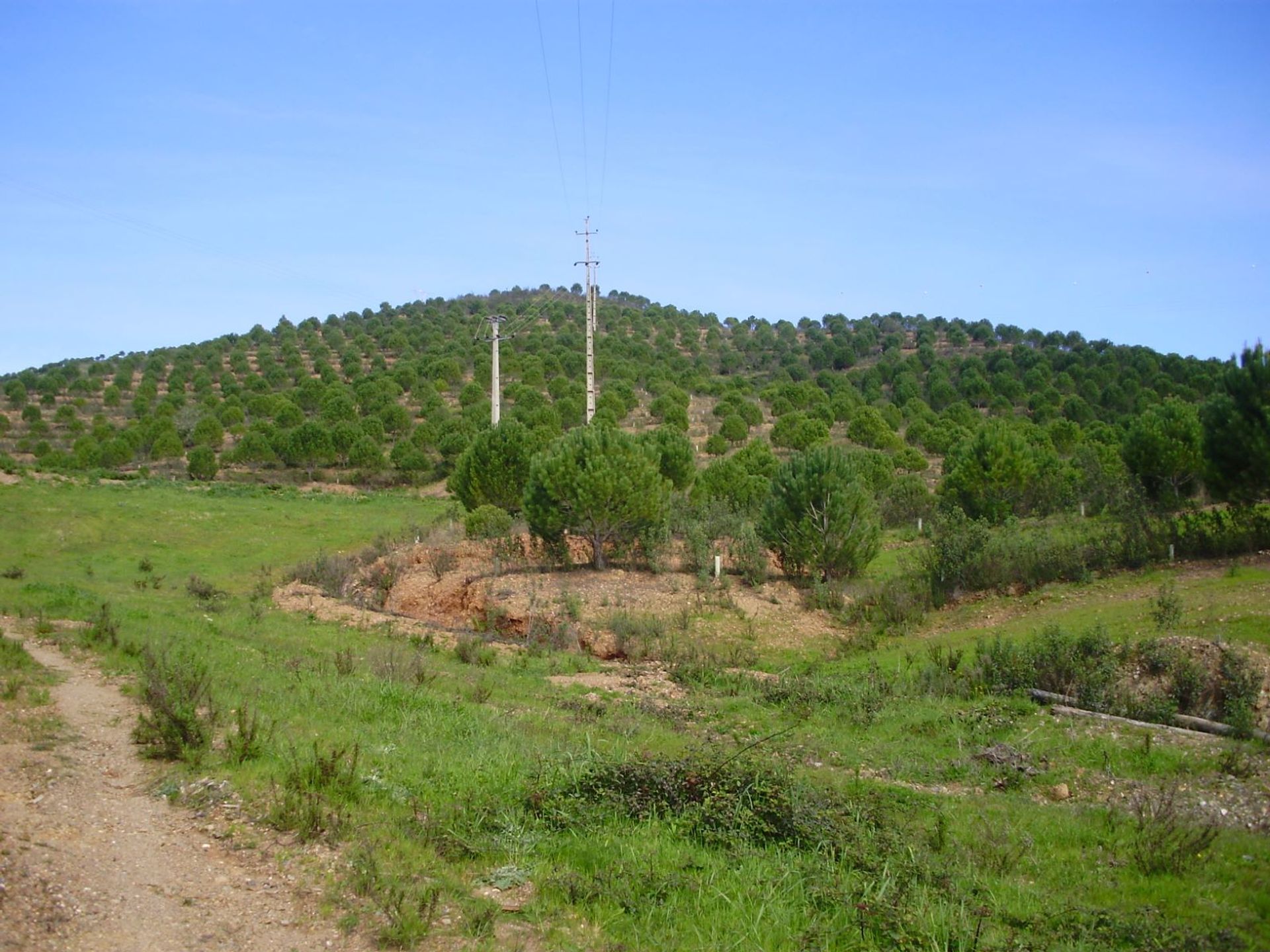 Земельные участки в Sao Marcos da Serra, Faro 10585903