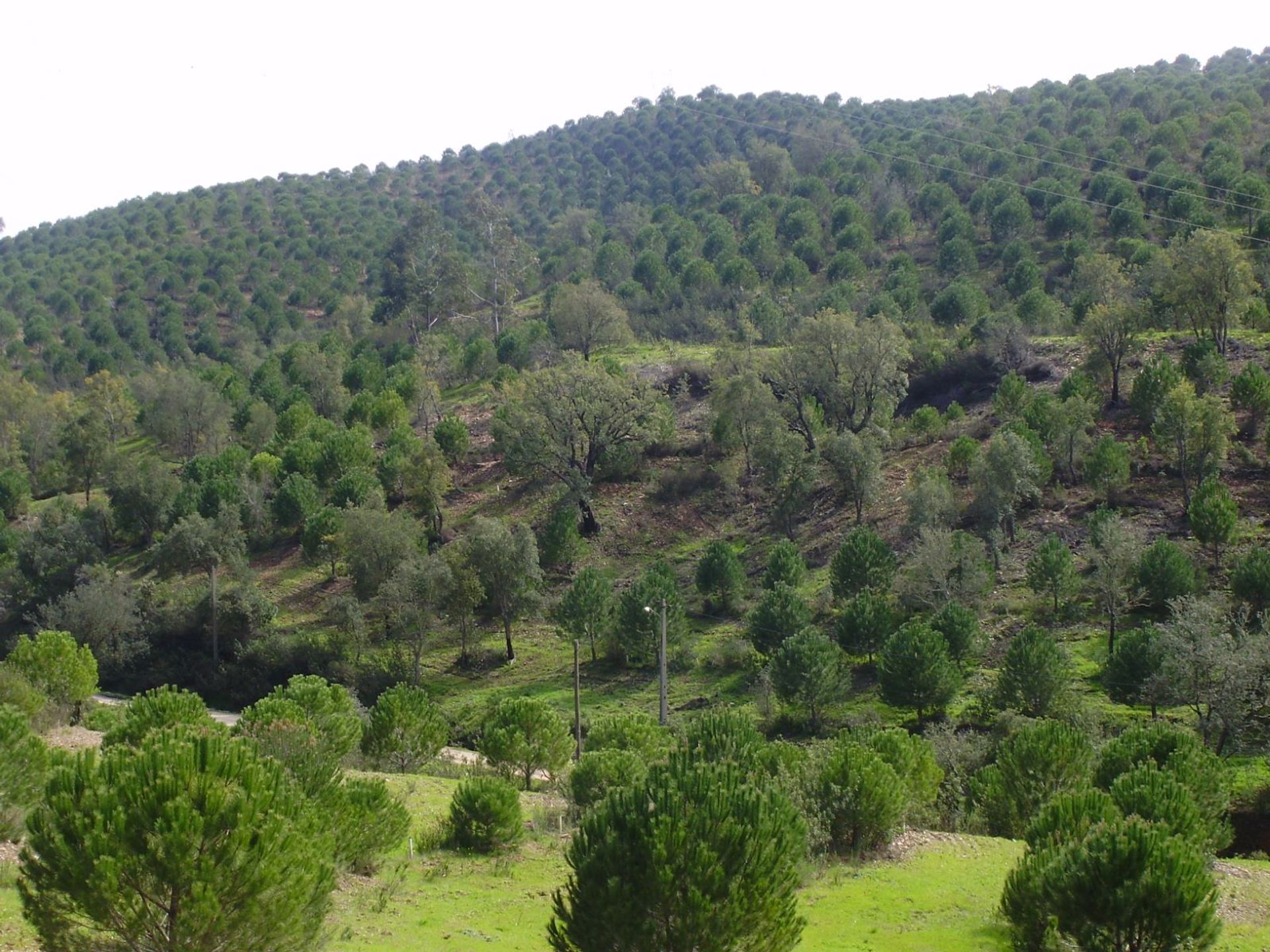 土地 在 São Marcos da Serra, Faro 10585903