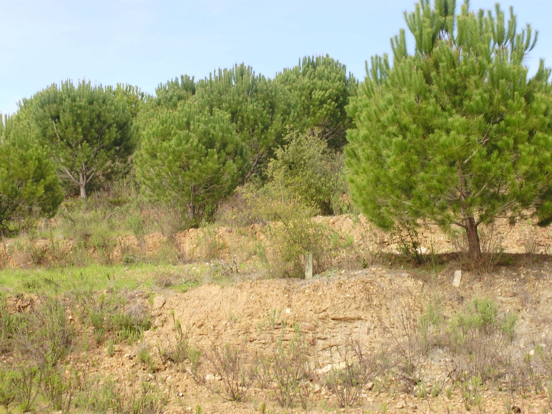 土地 在 São Marcos da Serra, Faro 10585903