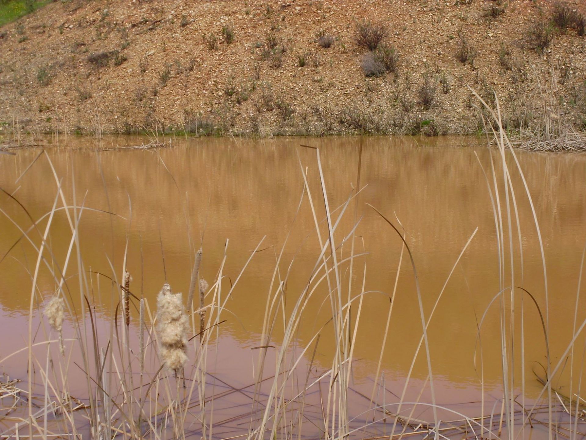 Terre dans Sao Marcos da Serra, Faro 10585903