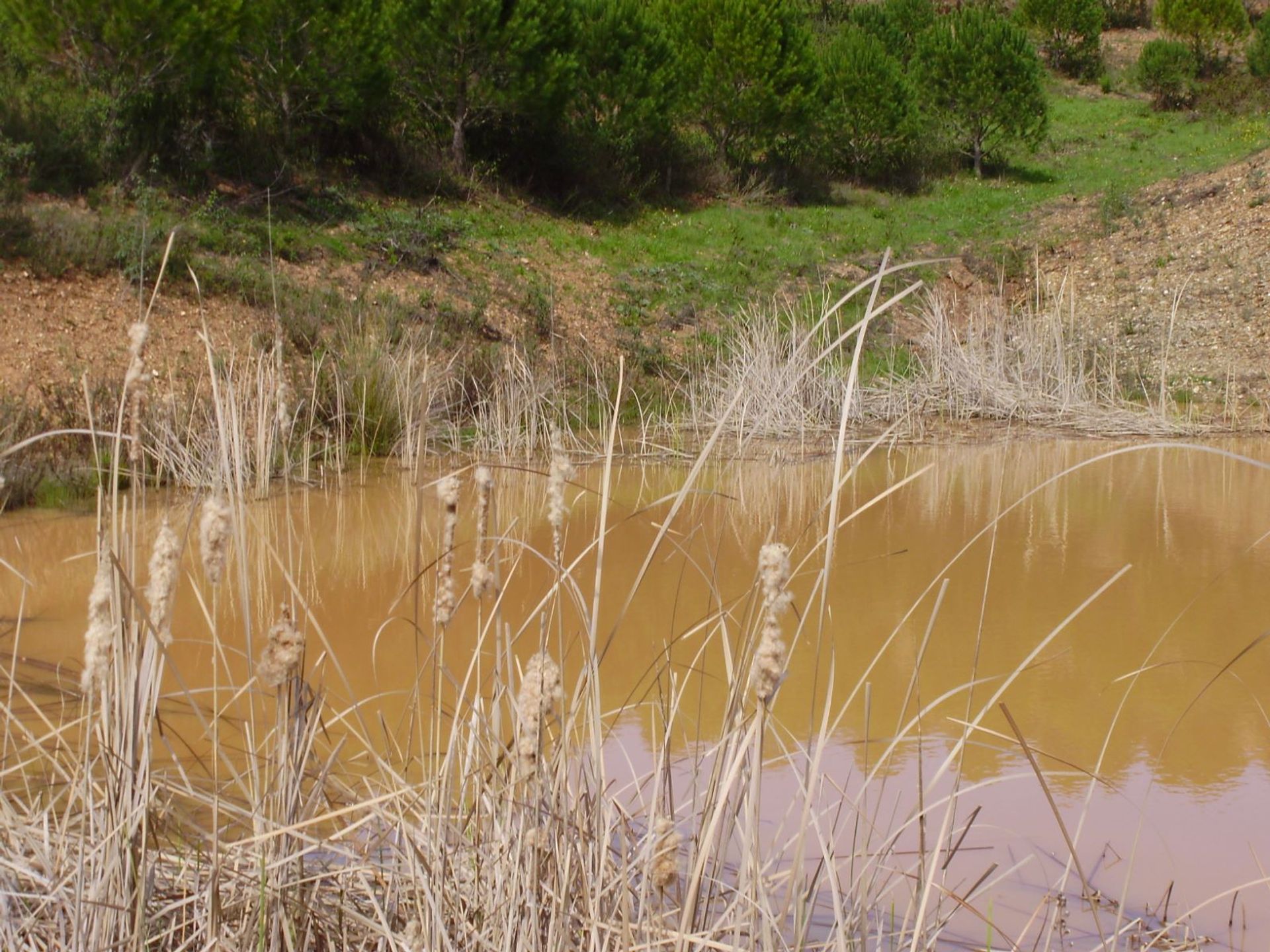 土地 在 São Marcos da Serra, Faro 10585903