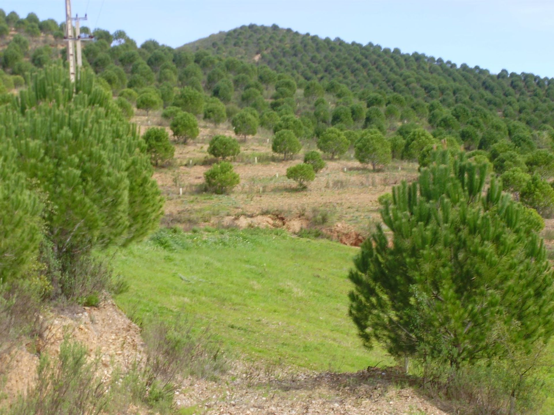 土地 在 São Marcos da Serra, Faro 10585903