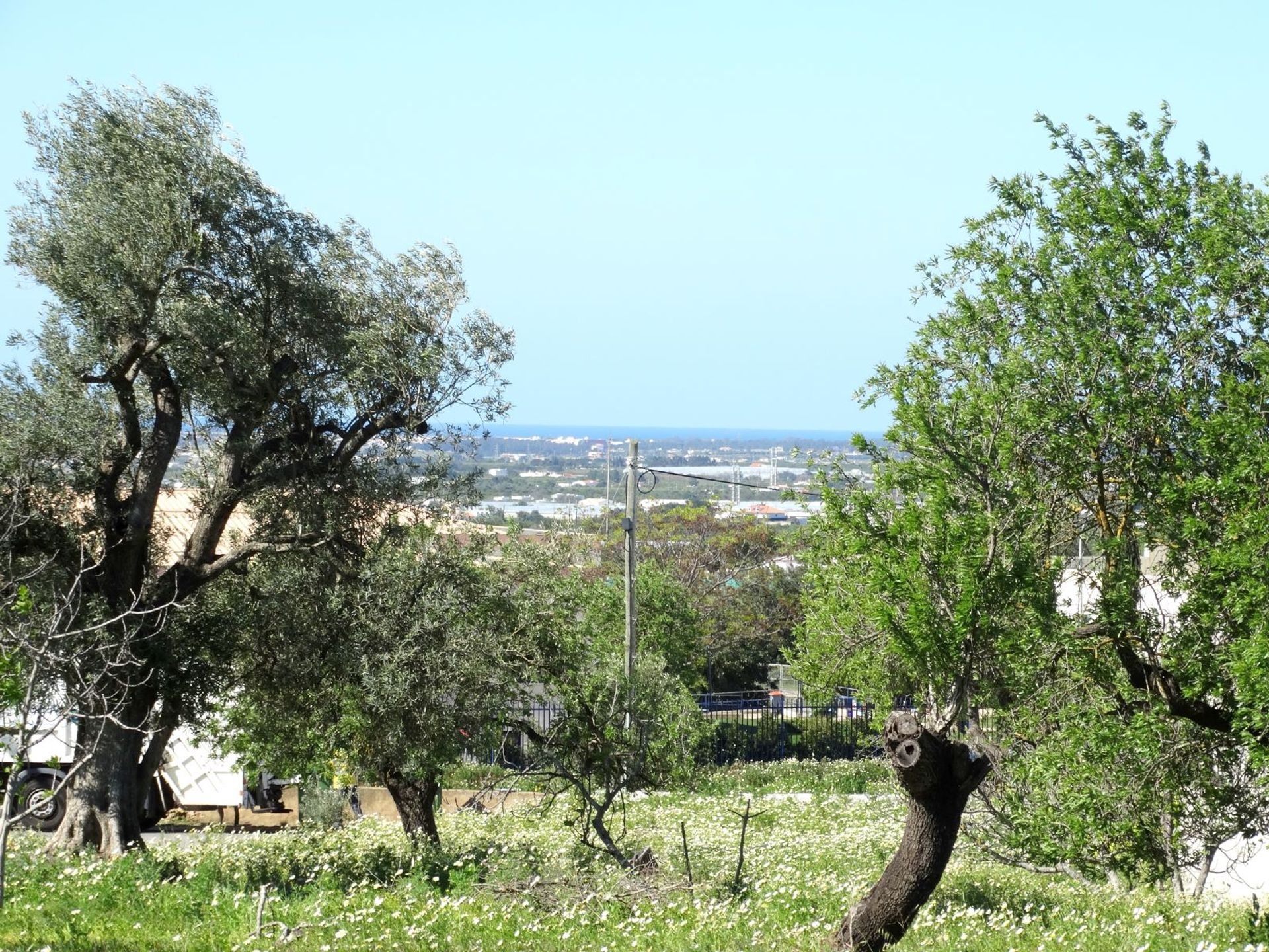 Terre dans Estoi, Faro 10585917