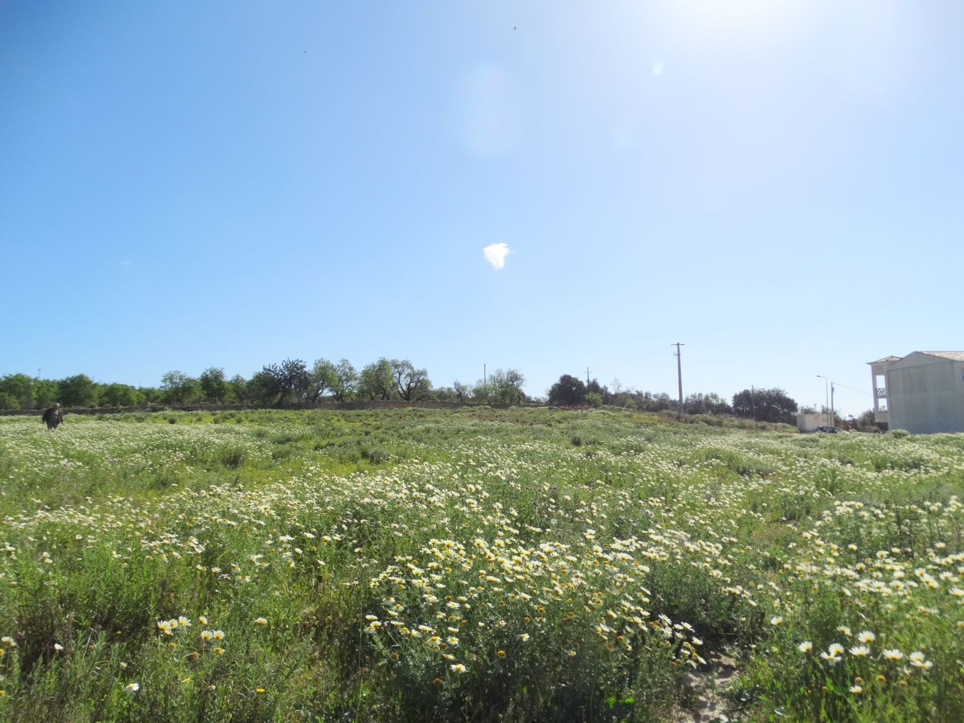 ארץ ב Estoi, Faro 10585917