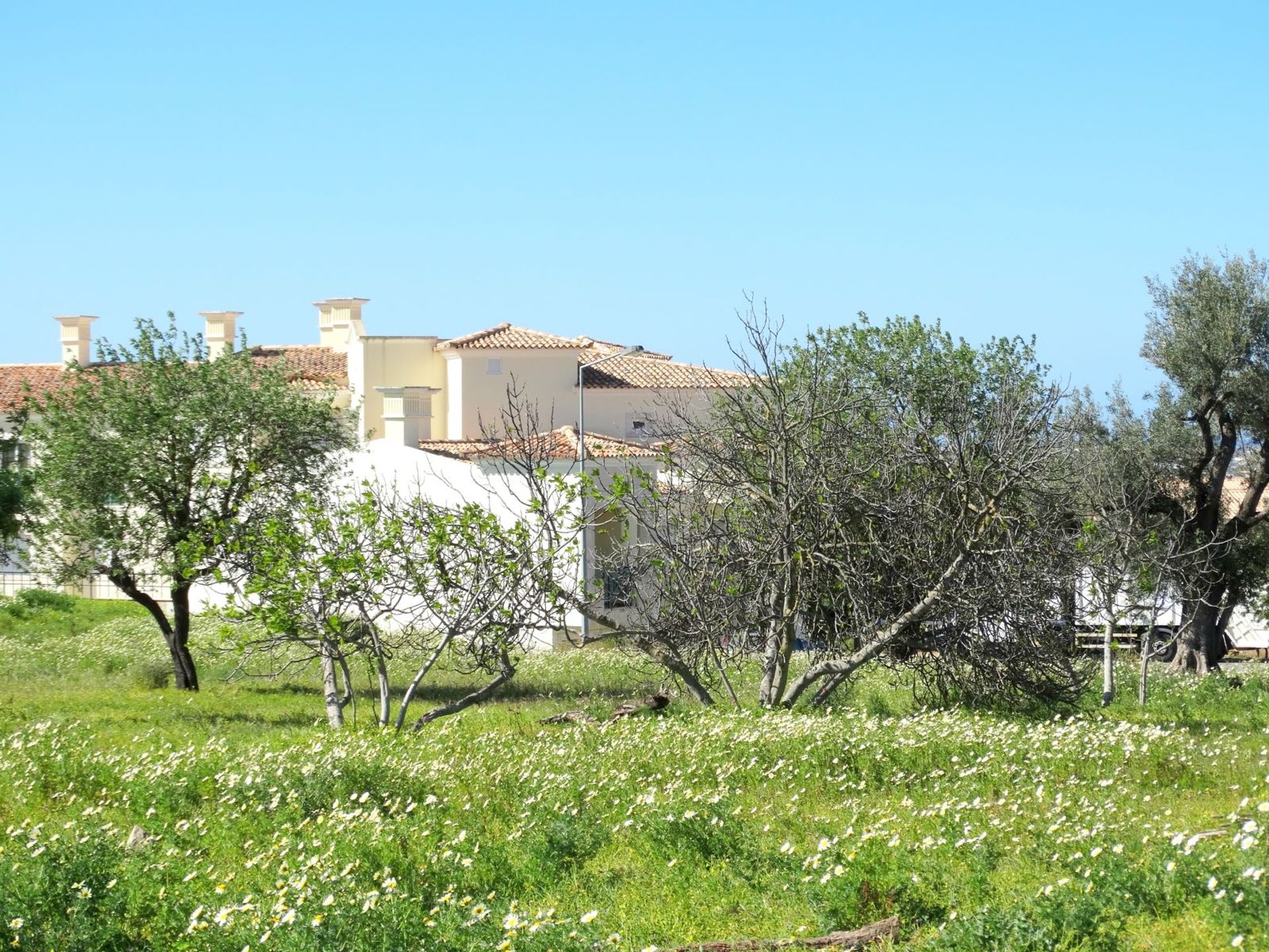 土地 在 Faro, Faro 10585917