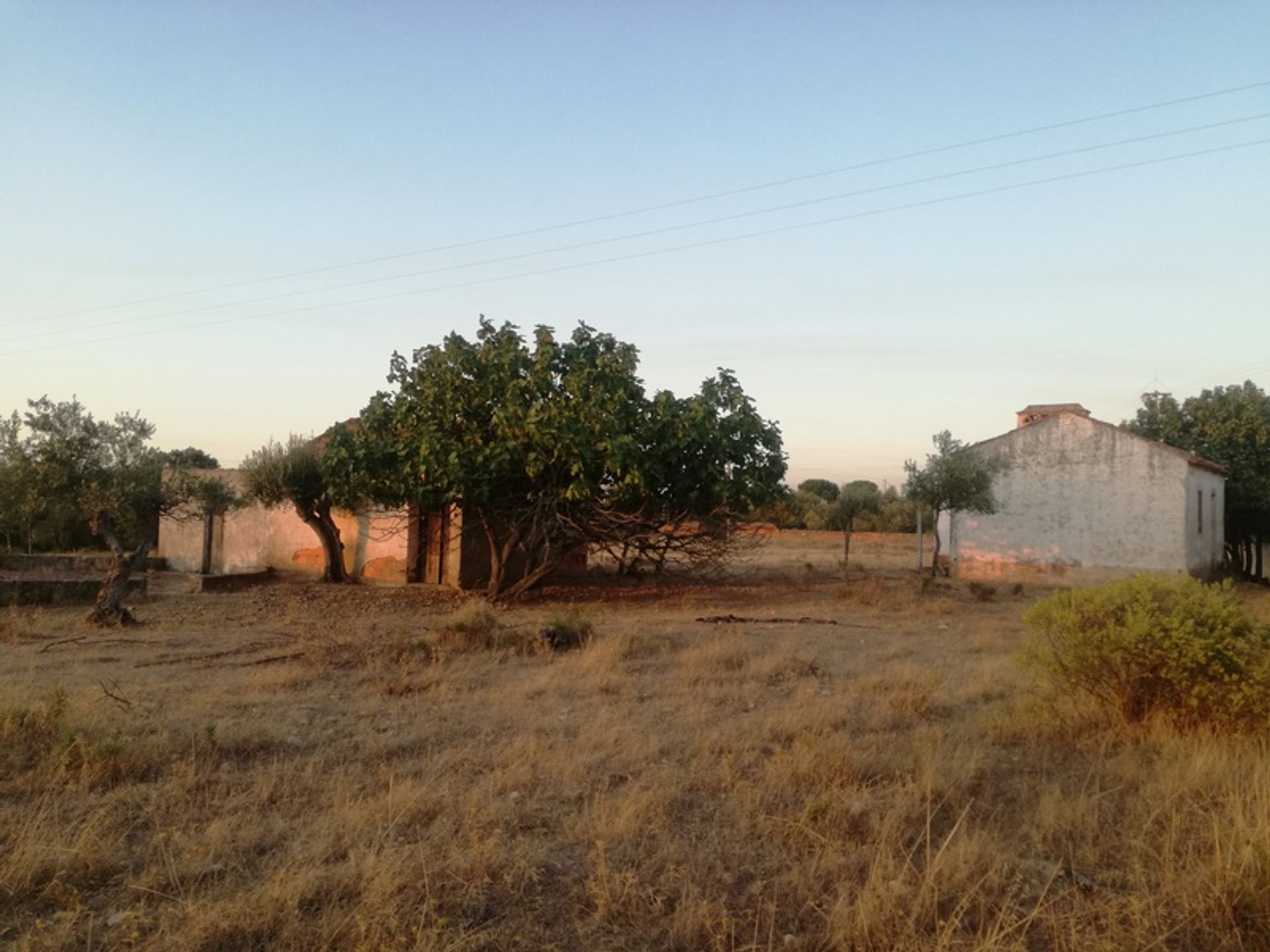 Land in Constancia, Santarem 10586229