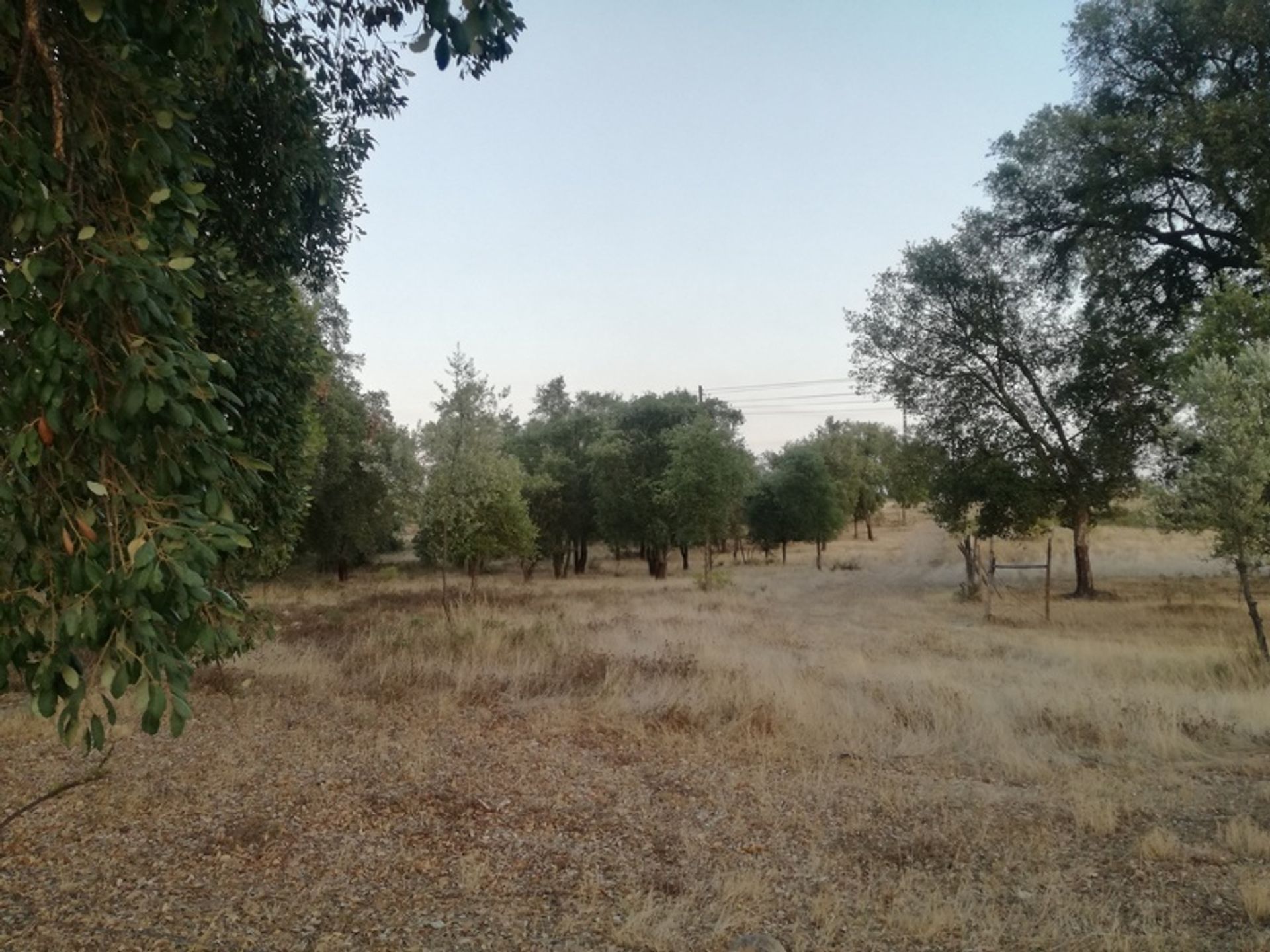 Земля в Praia do Ribatejo, Santarém 10586229