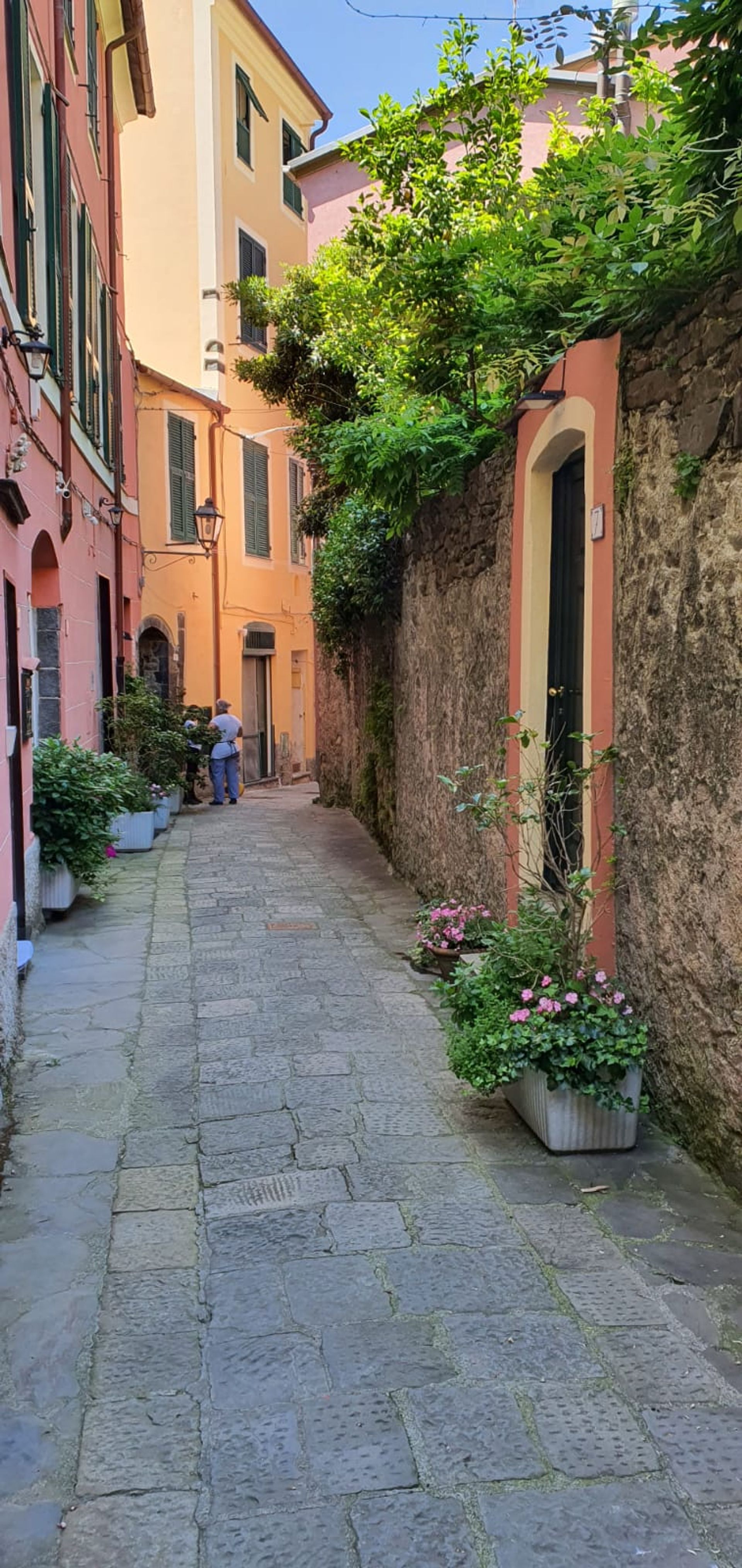 सम्मिलित में Monterosso al Mare, Liguria 10694439