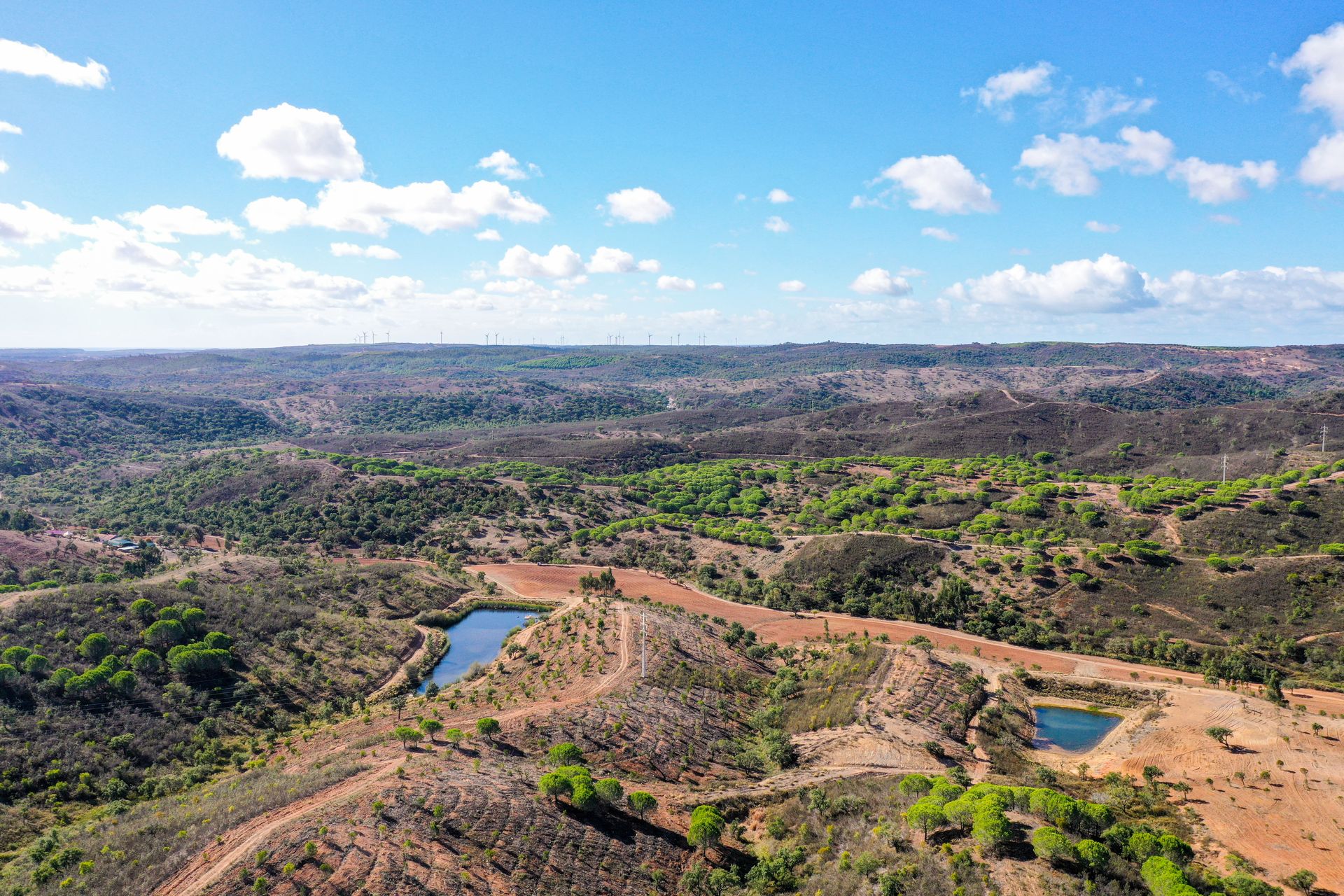 Terra no Bensafrim, Faro 10694443