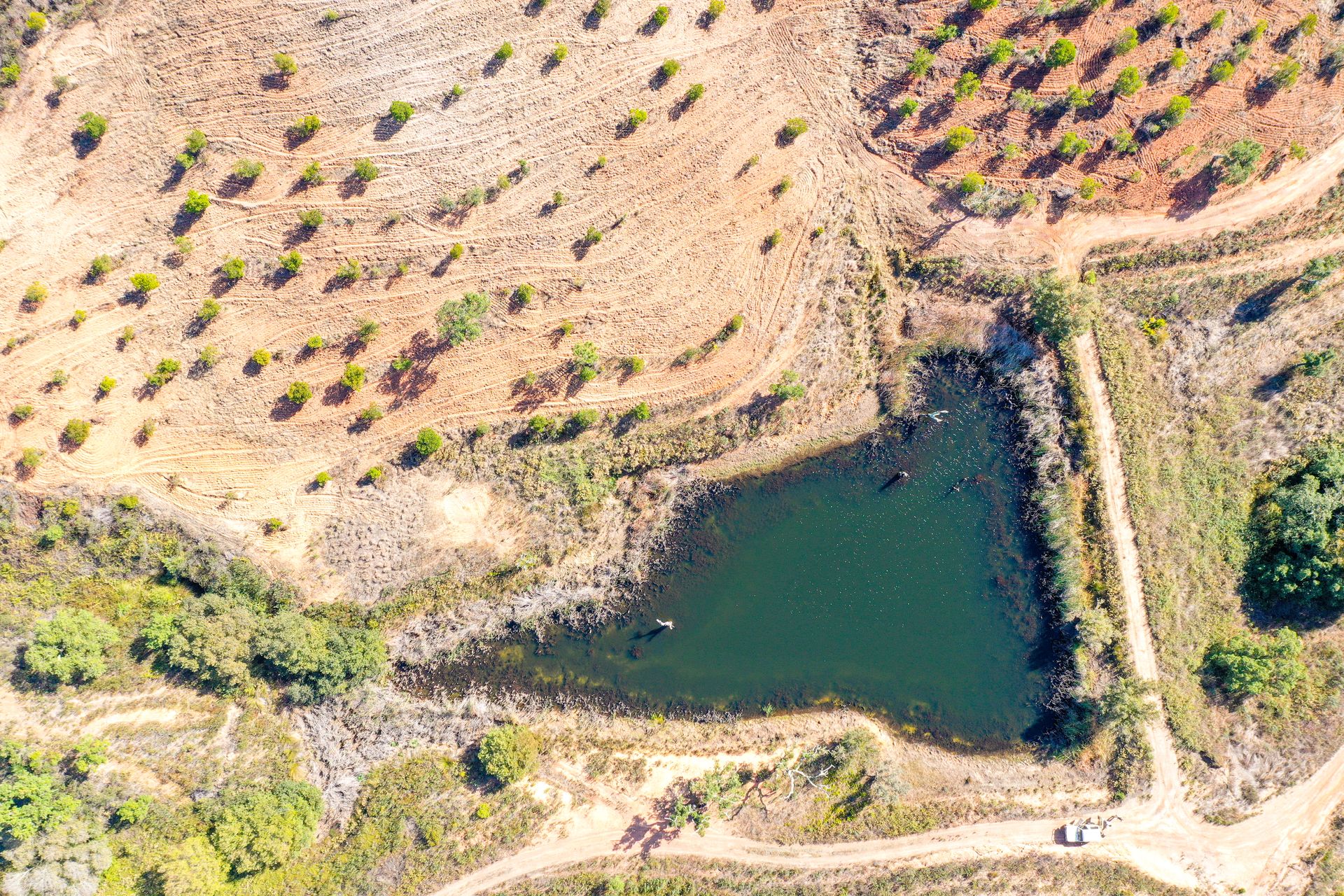 Terra no Bensafrim, Faro 10694443