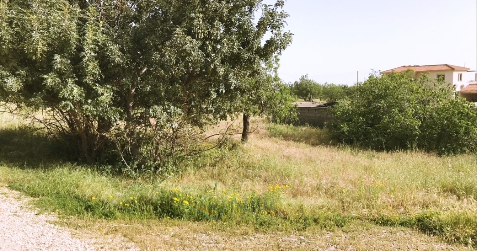 Tanah di Agia Marinouda, Pafos 10695150