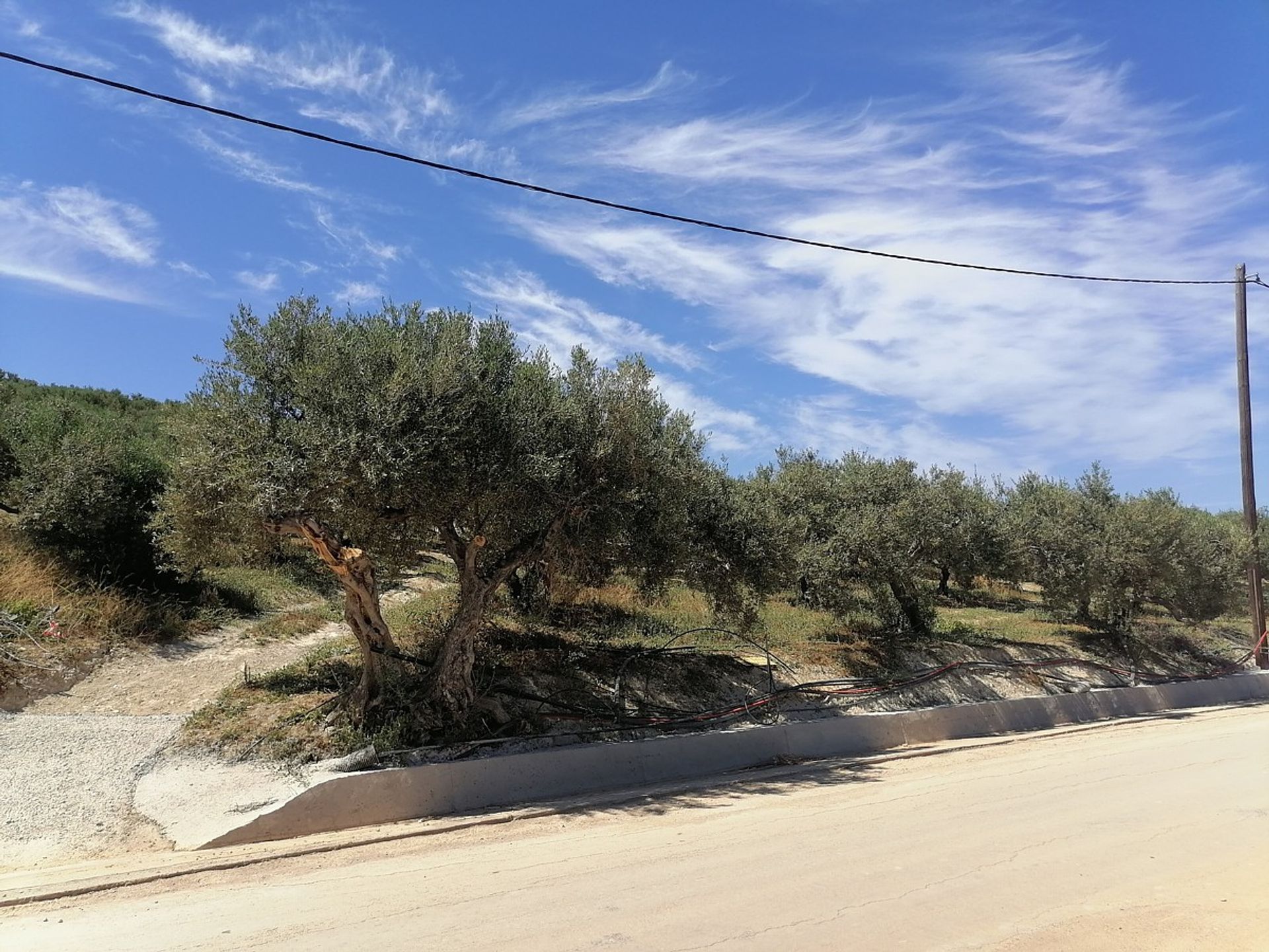 Land in Platanias, Kriti 10695234