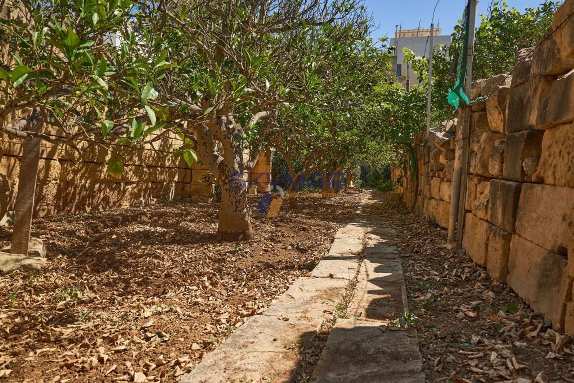 casa en Qrendi, Qrendi 10695449