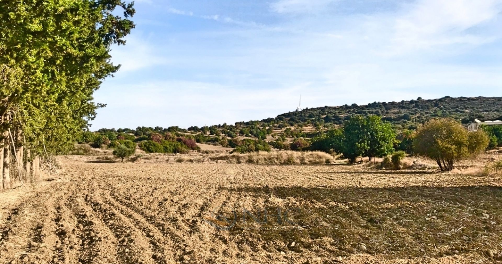 Land in Agia Marinouda, Pafos 10696042