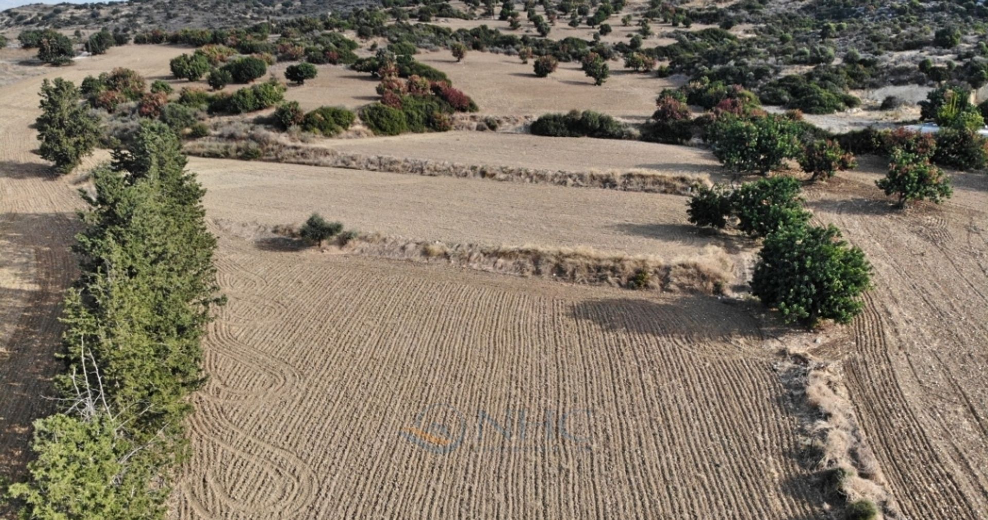 Land in Agia Marinouda, Pafos 10696042