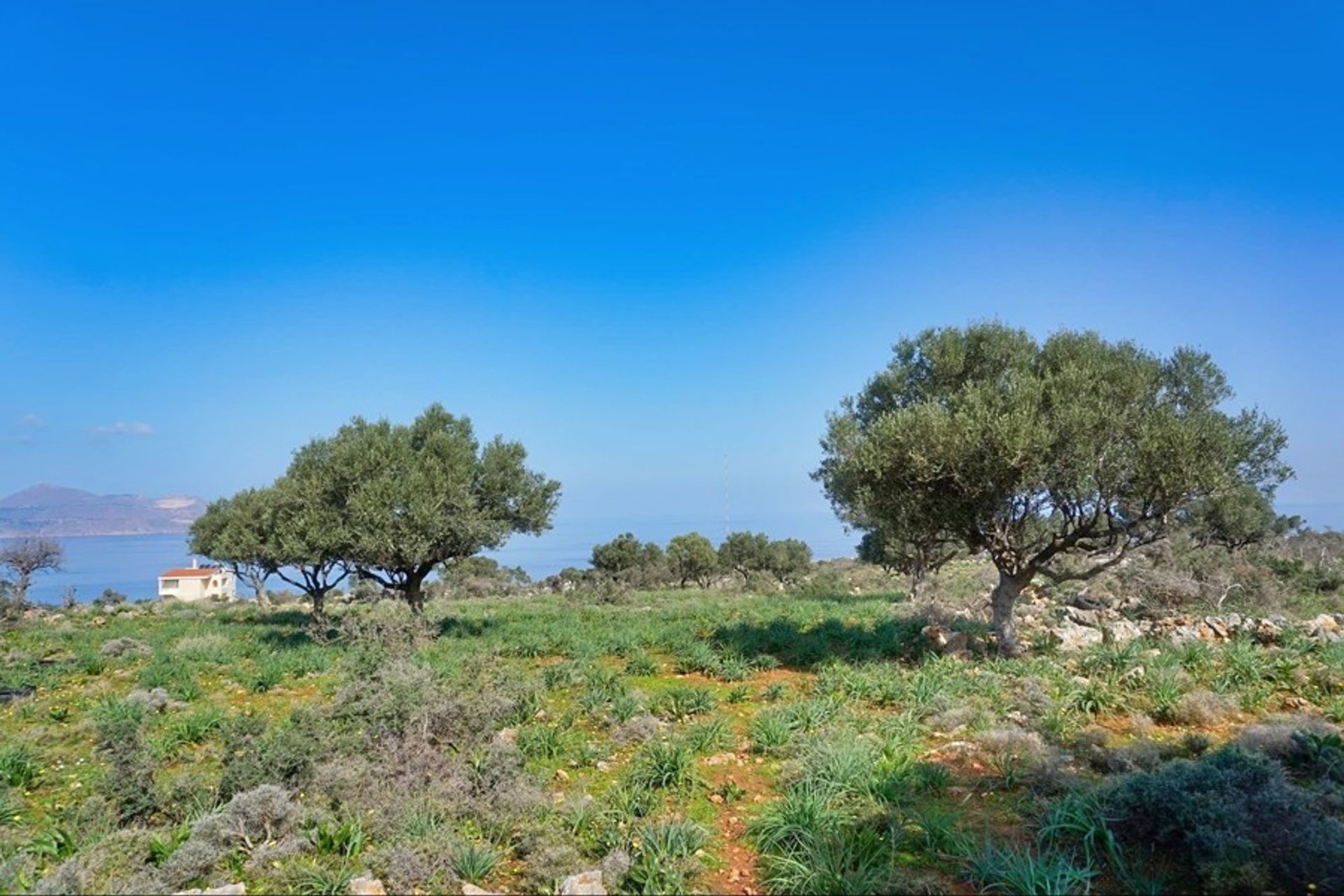 Земельные участки в Kokkino Chorio,  10696653