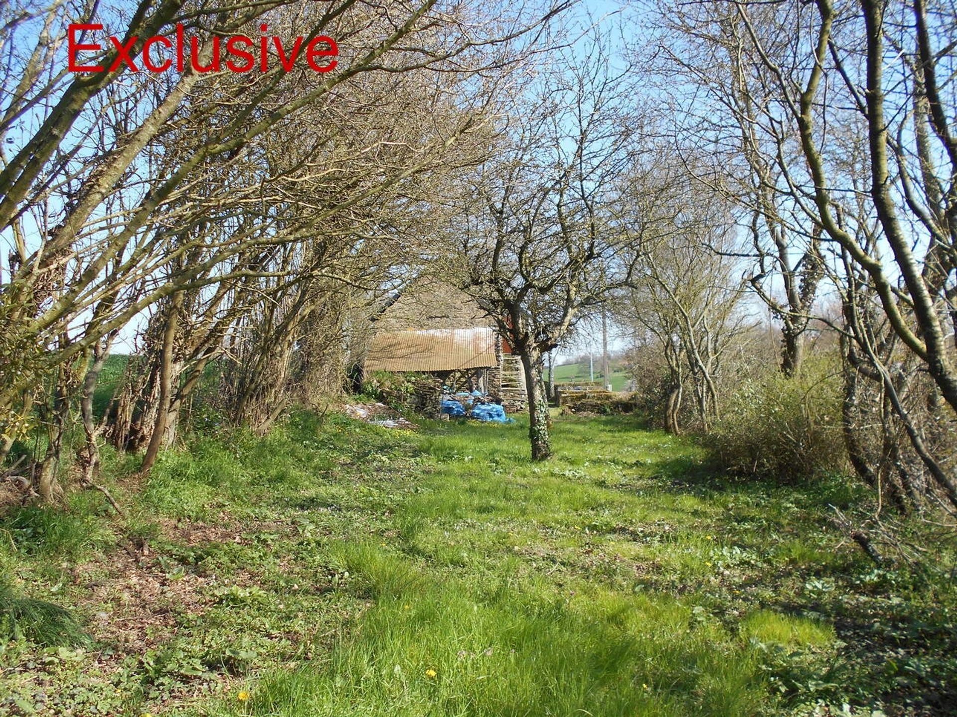 Casa nel Saint-Mars-du-Désert, Pays de la Loire 10696704