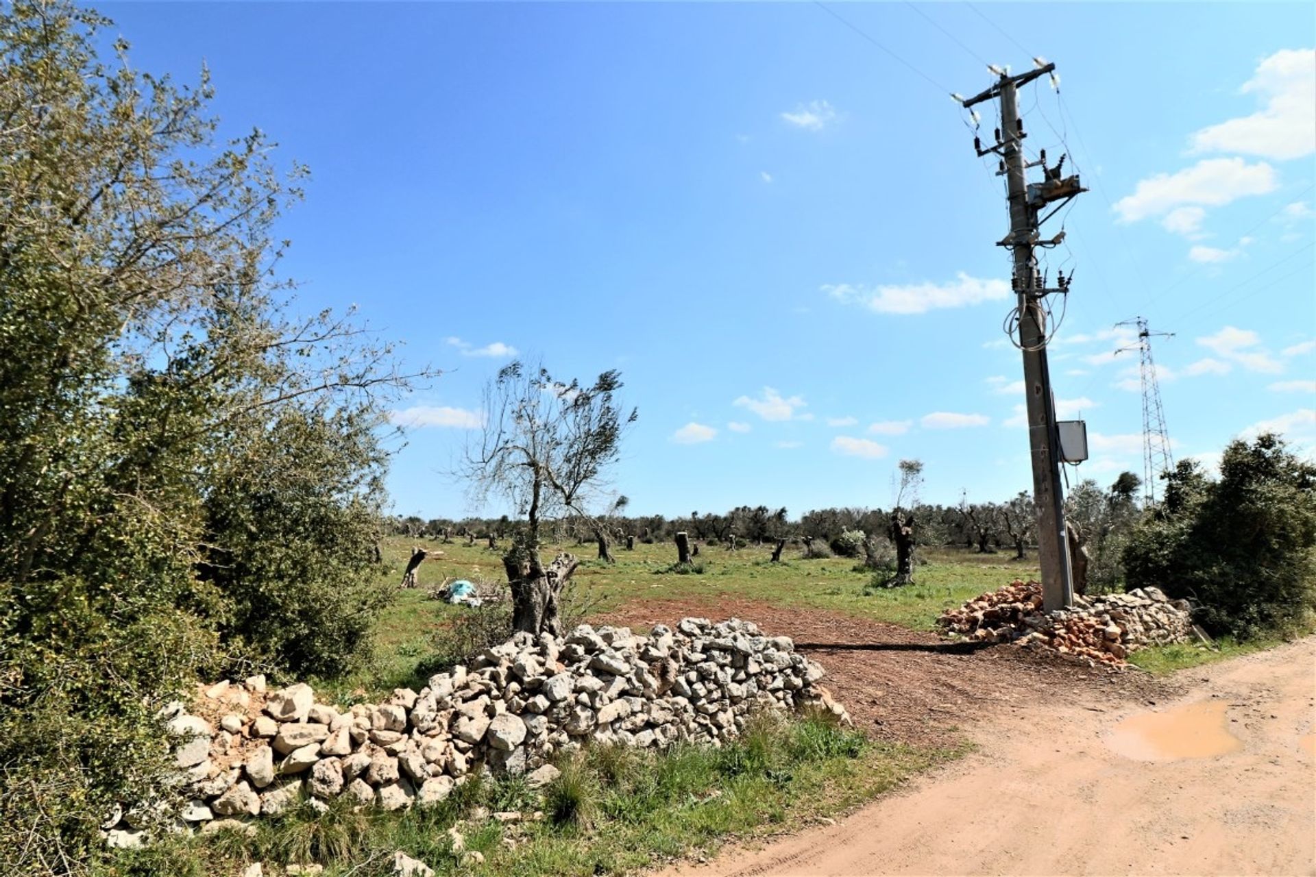 Tierra en ruffano, Apulia 10696994