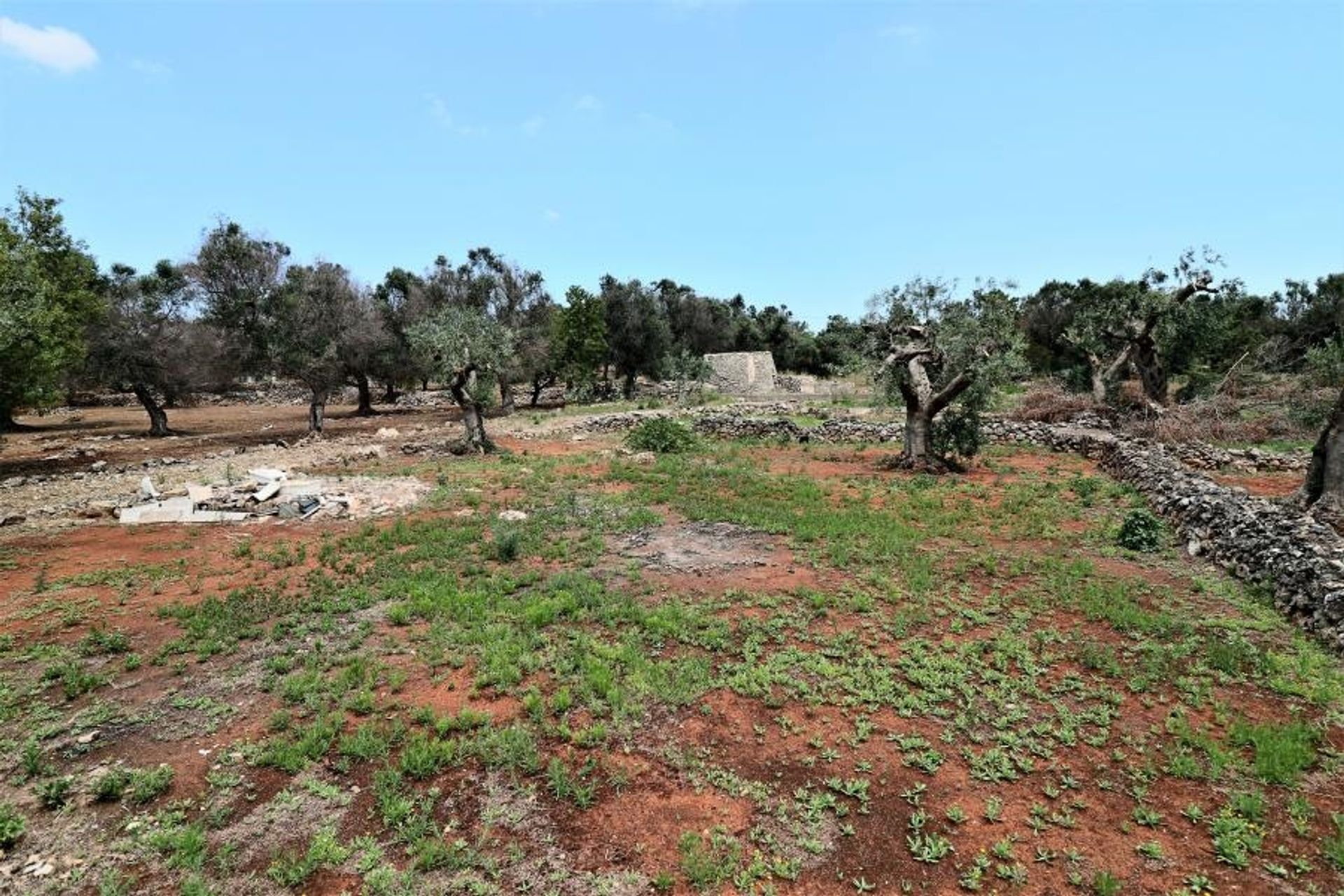 Land in Parabita, Apulia 10696997