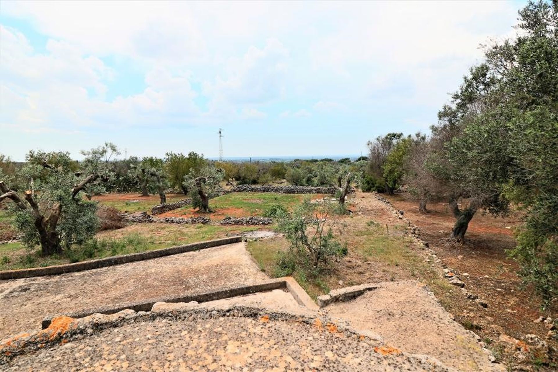 Tanah dalam Parabita, Apulia 10696997