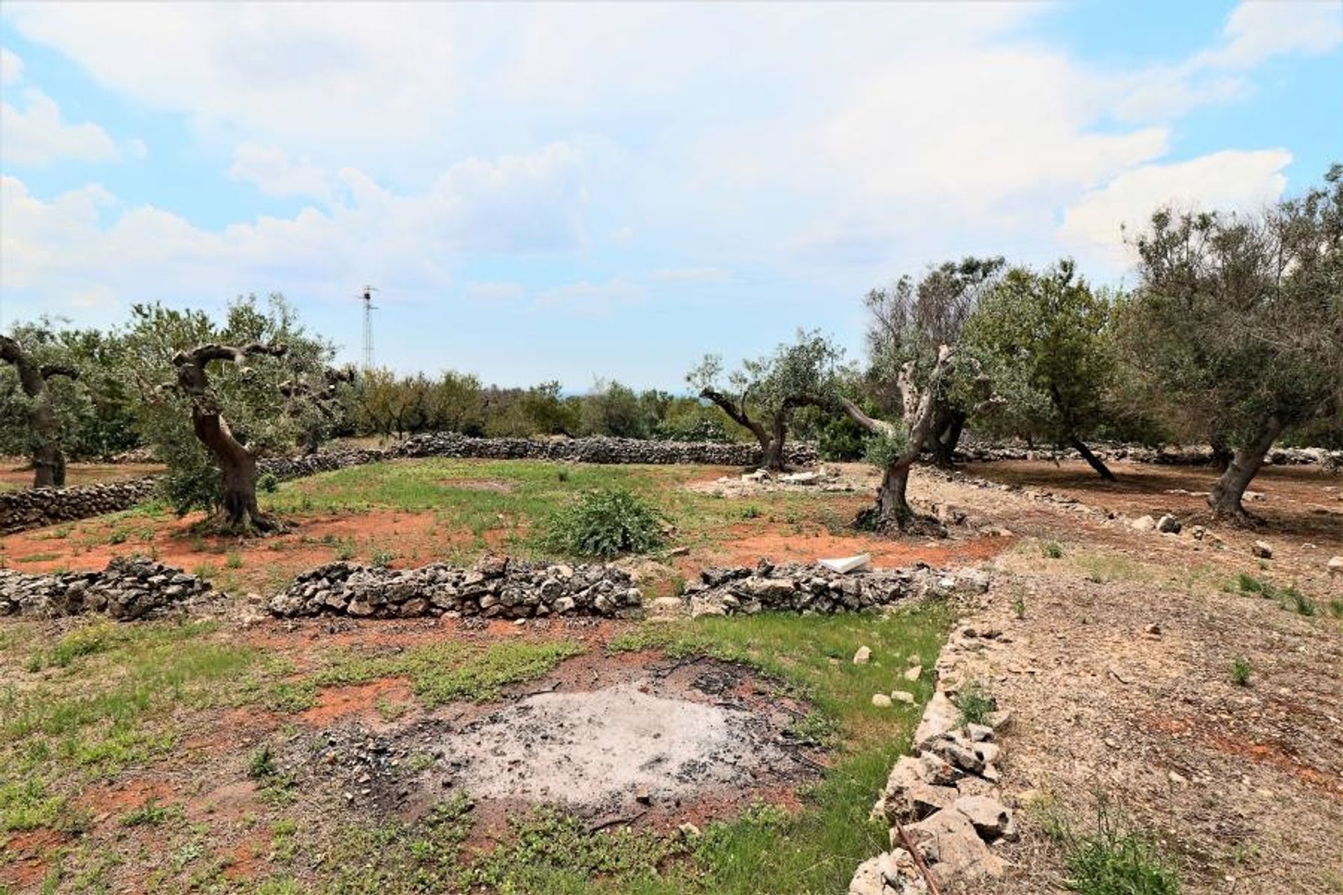 Land im Parabita, Apulia 10696997