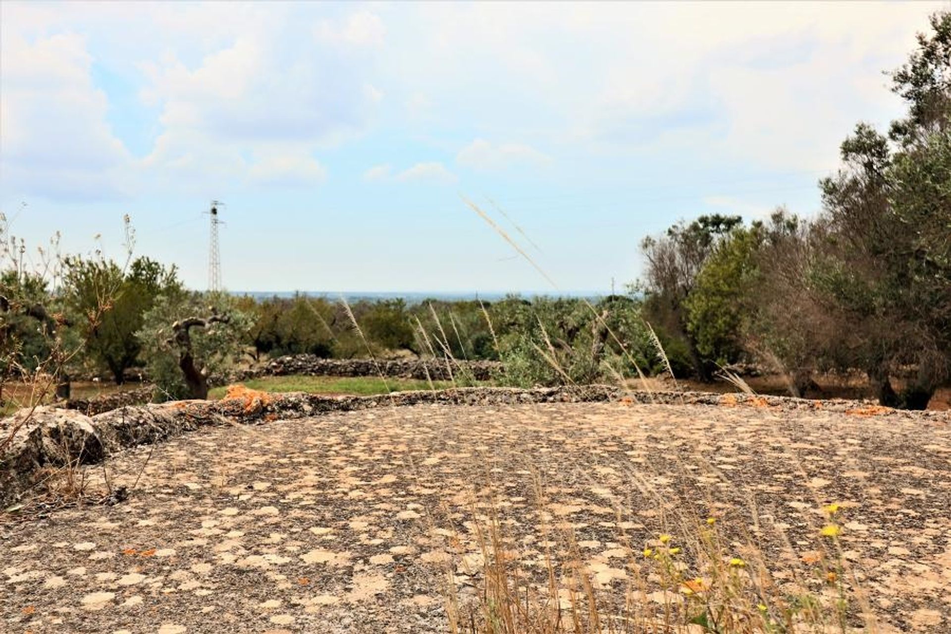 Tierra en Parabita, Apulia 10696997