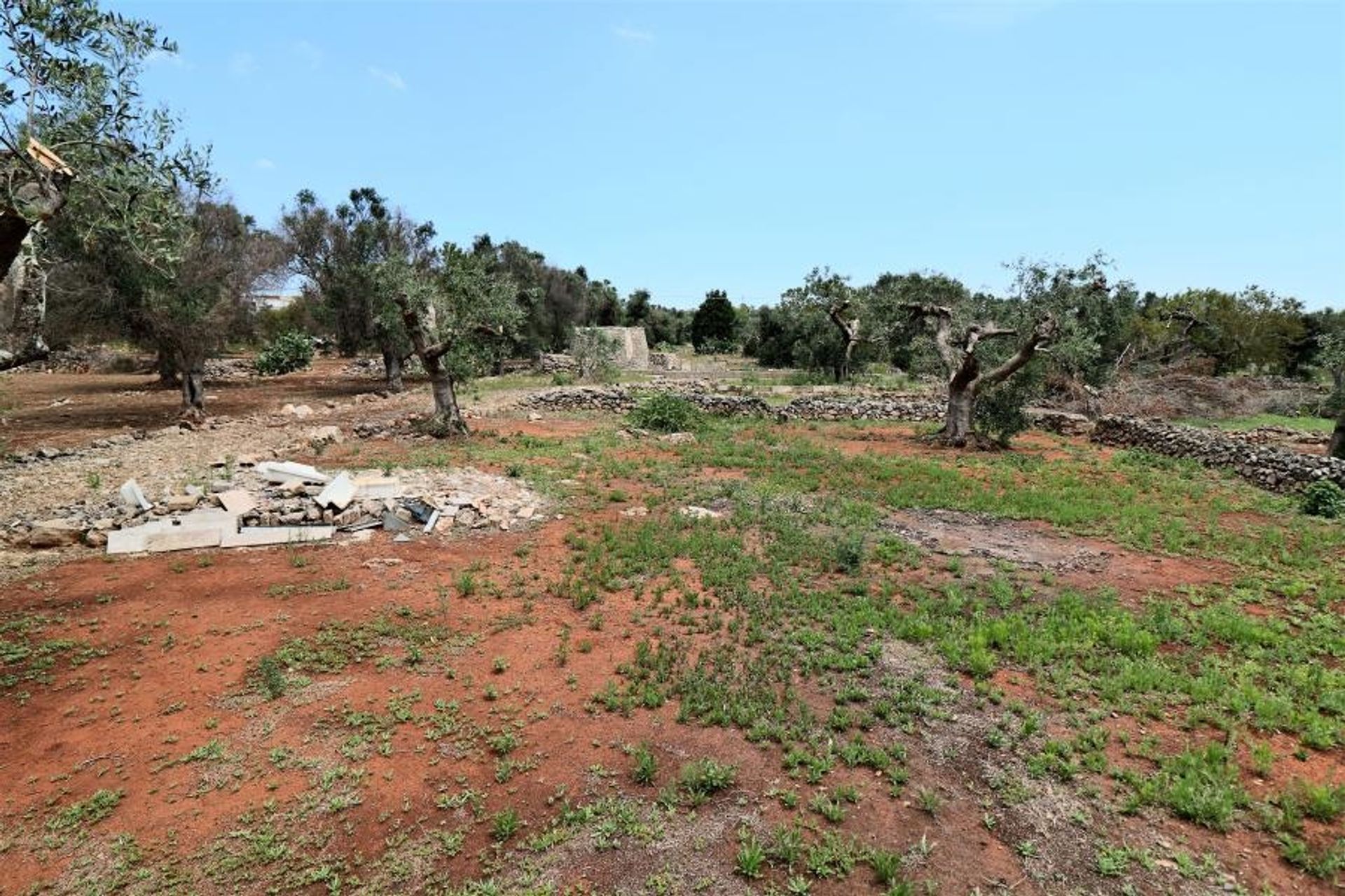 Tanah dalam Parabita, Apulia 10696997