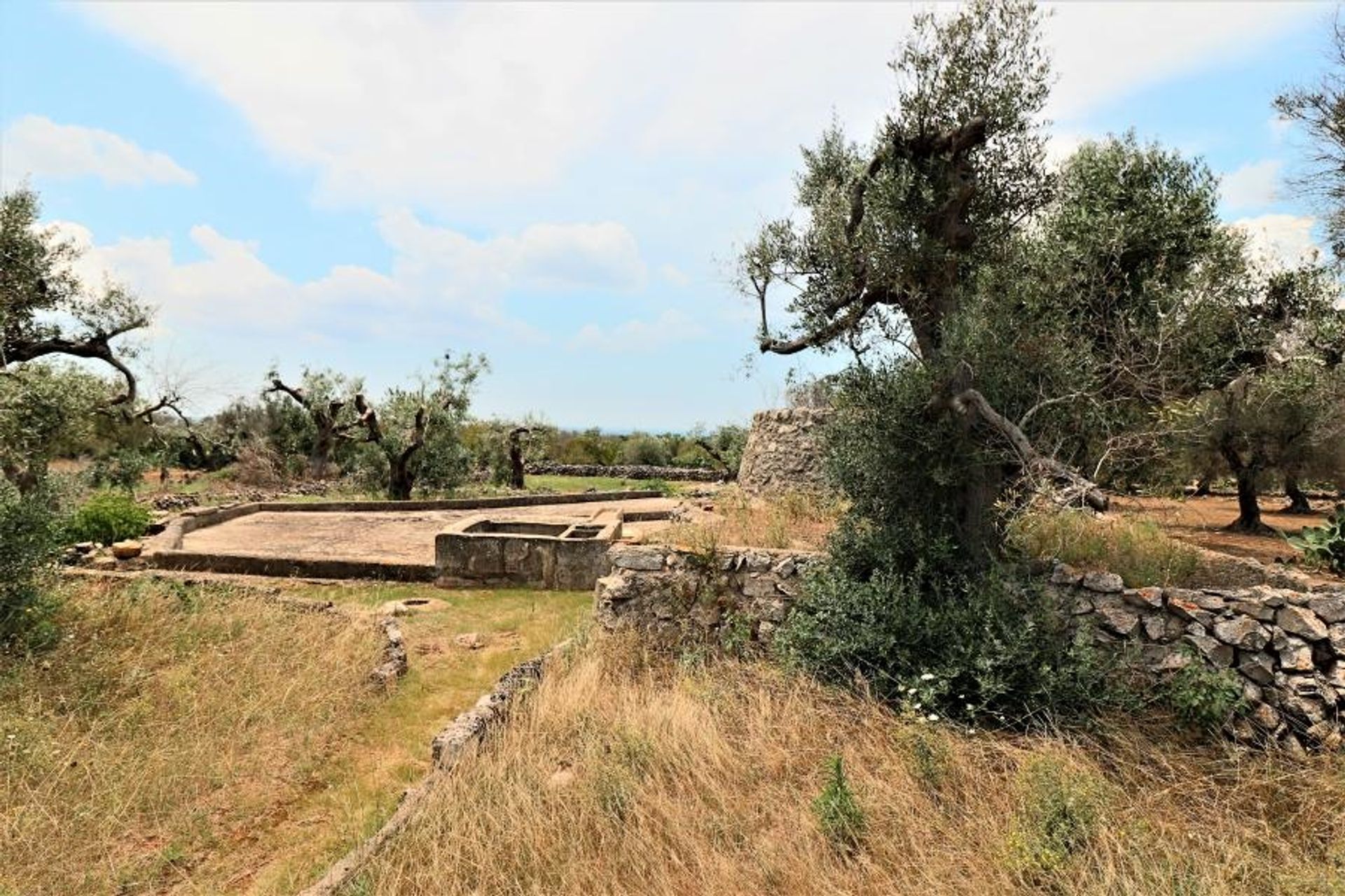 Land im Parabita, Apulia 10696997