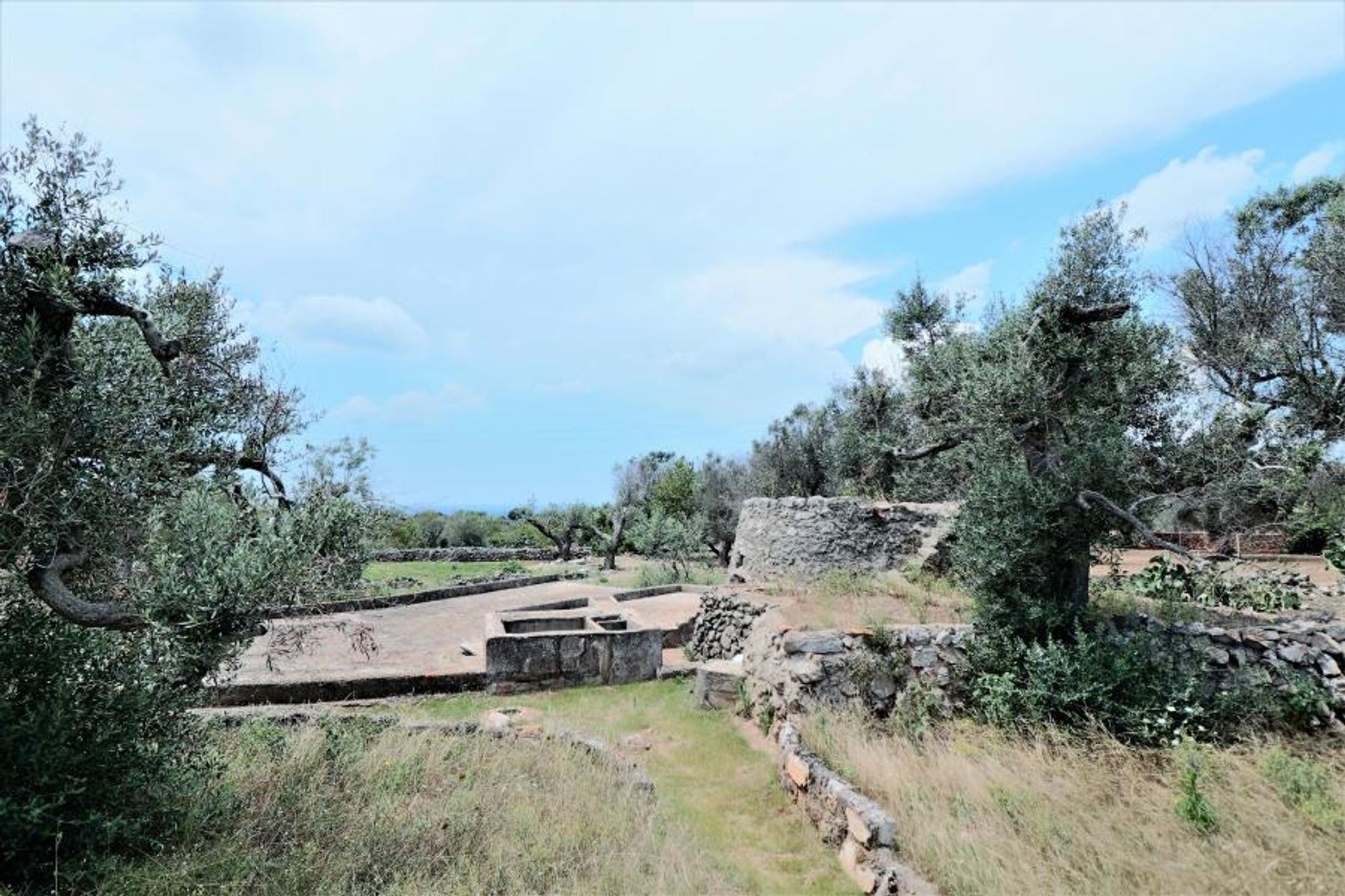 Land in Parabita, Apulia 10696997