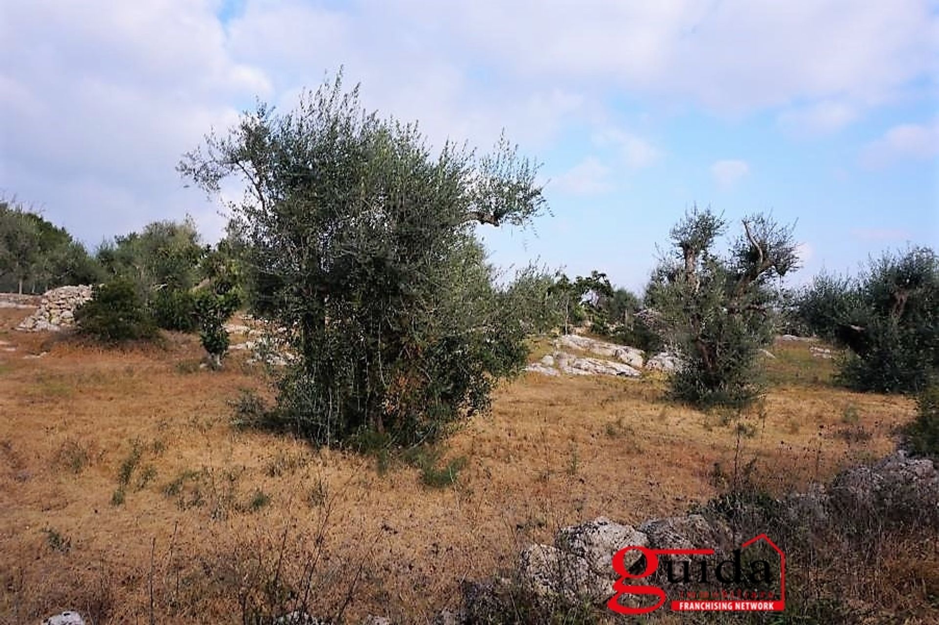 Land im Sannikola, Apulien 10696998