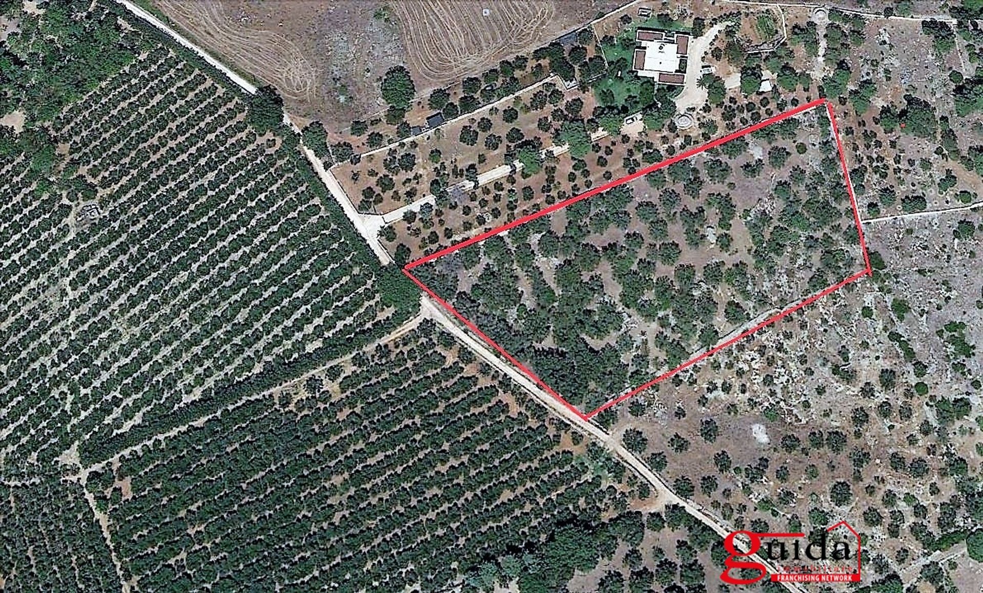 Land in Sannicola, Puglia 10696998