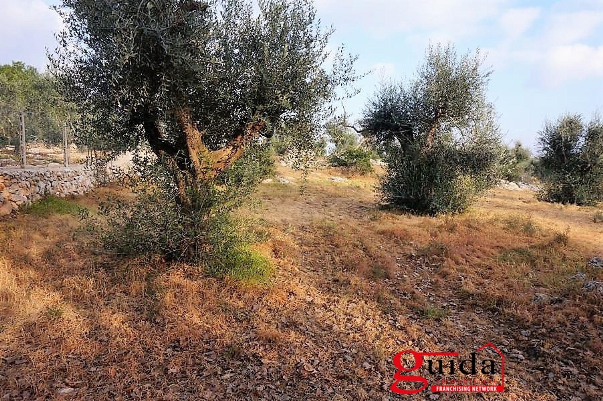 Land im Sannikola, Apulien 10696998