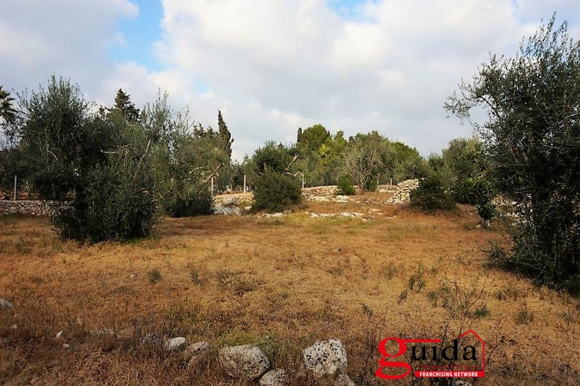 Land in Sannicola, Puglia 10696998