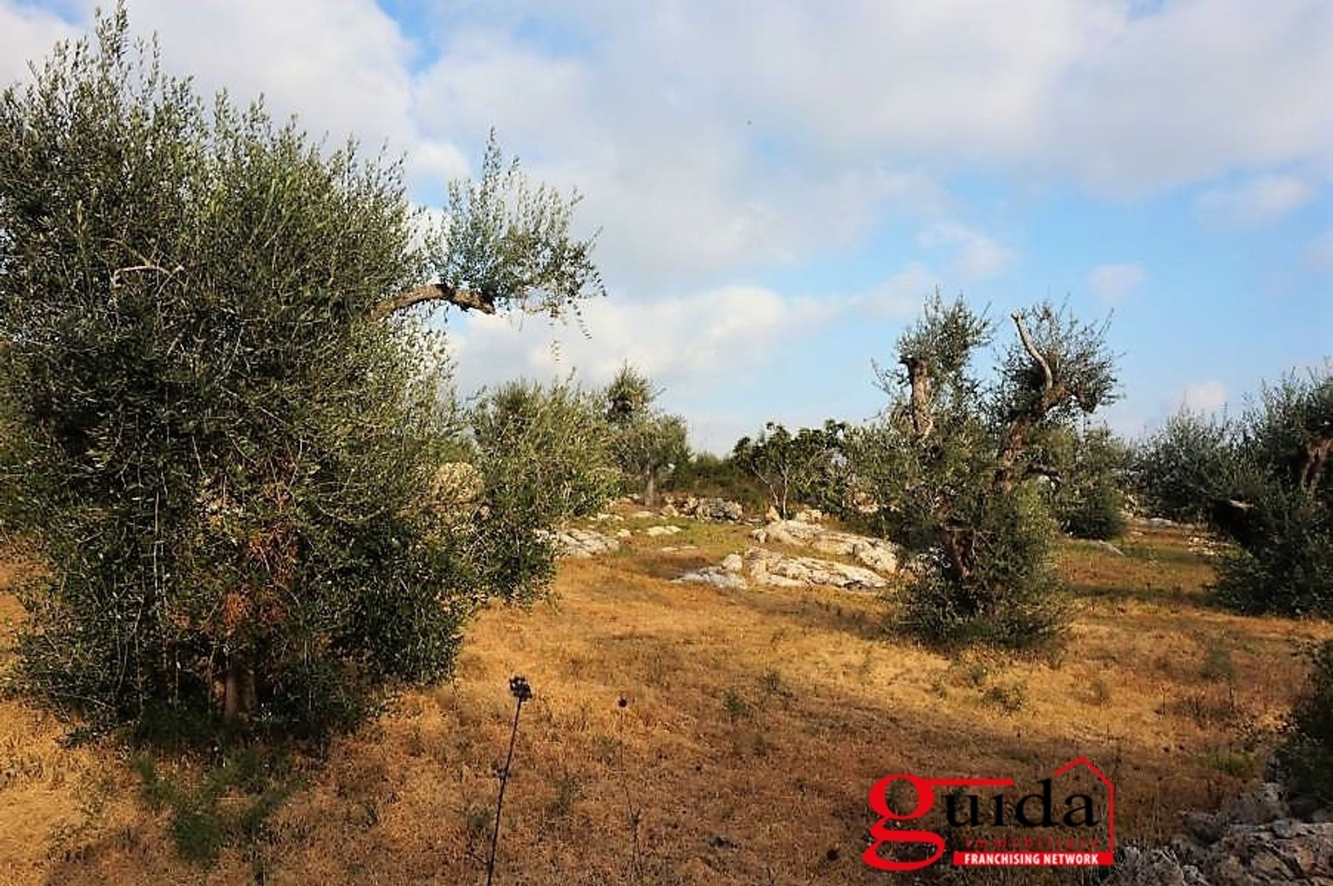 Land i Sannicola, Puglia 10696998