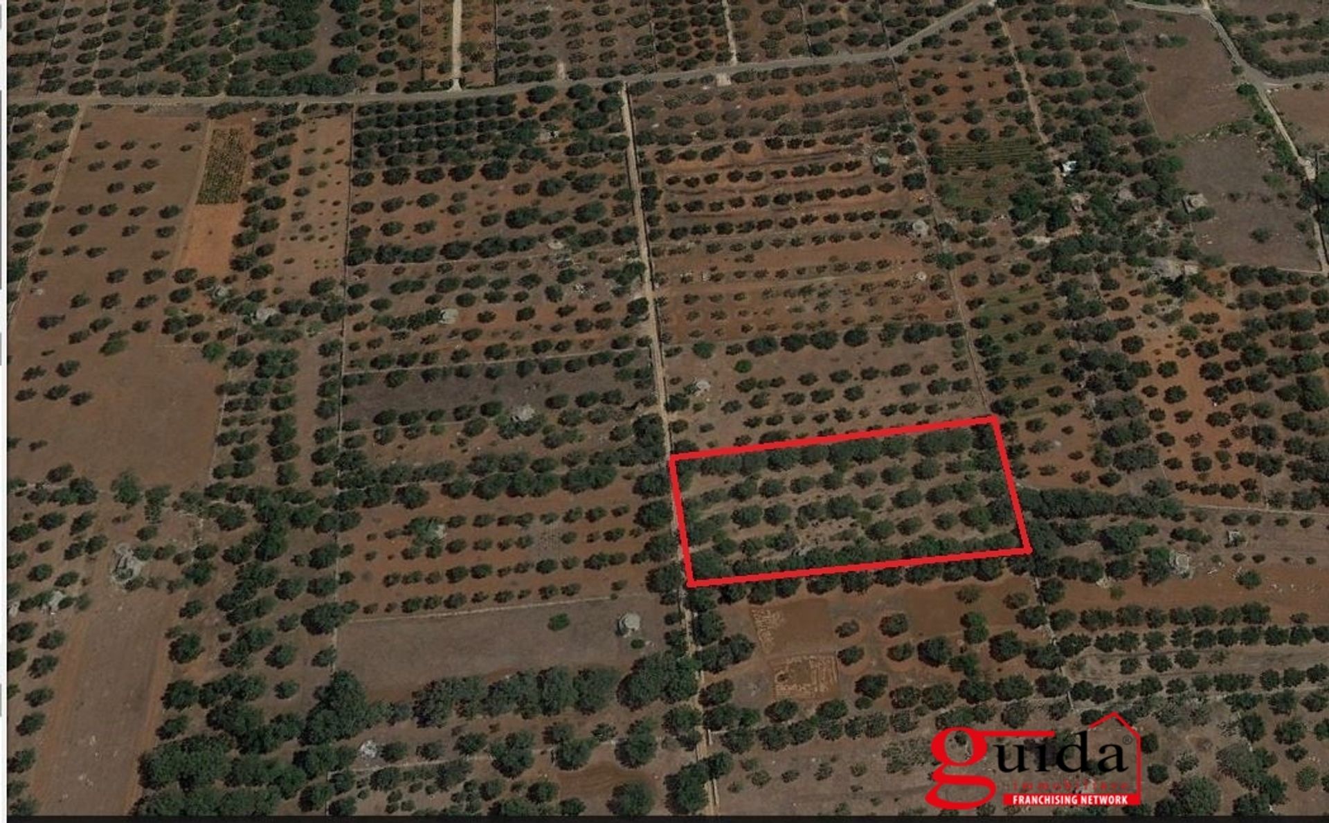 Tierra en Sannicola, Apulia 10696999