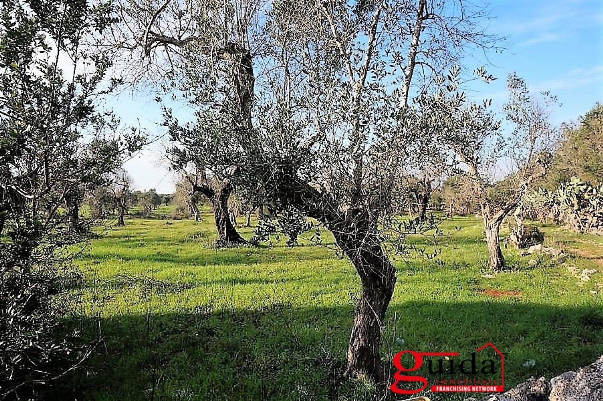 Tanah dalam Casarano, Apulia 10697000