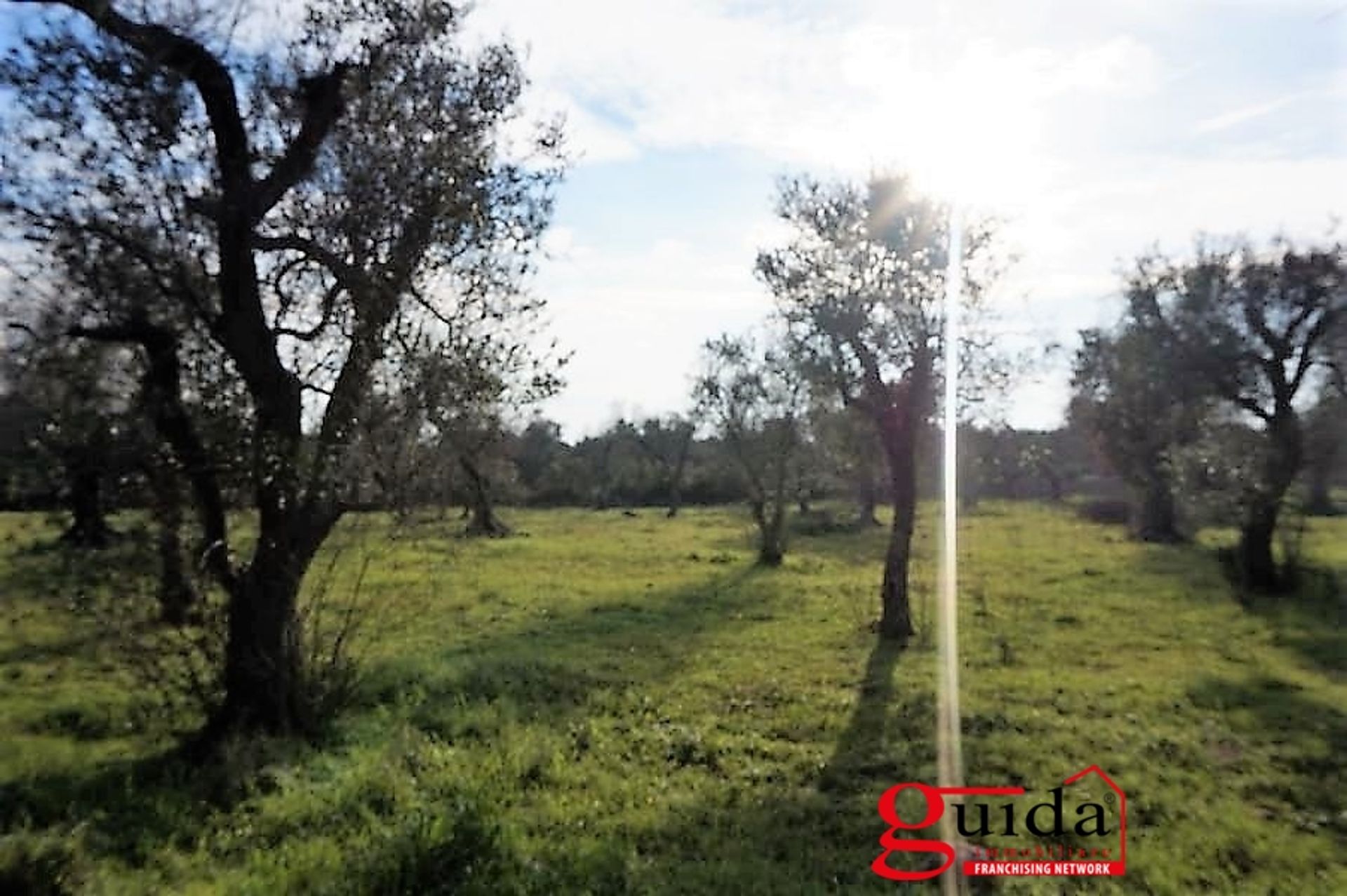 Land i Casarano, Apulia 10697000