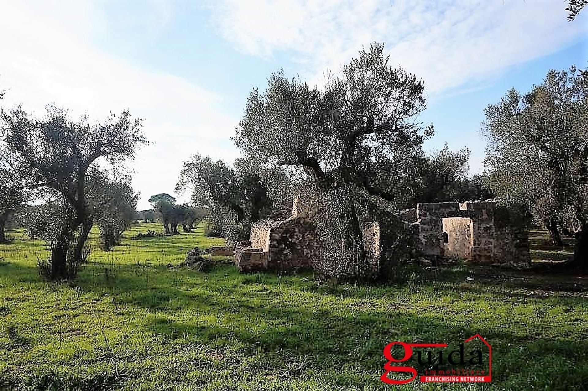 Maa sisään Casarano, Puglia 10697000