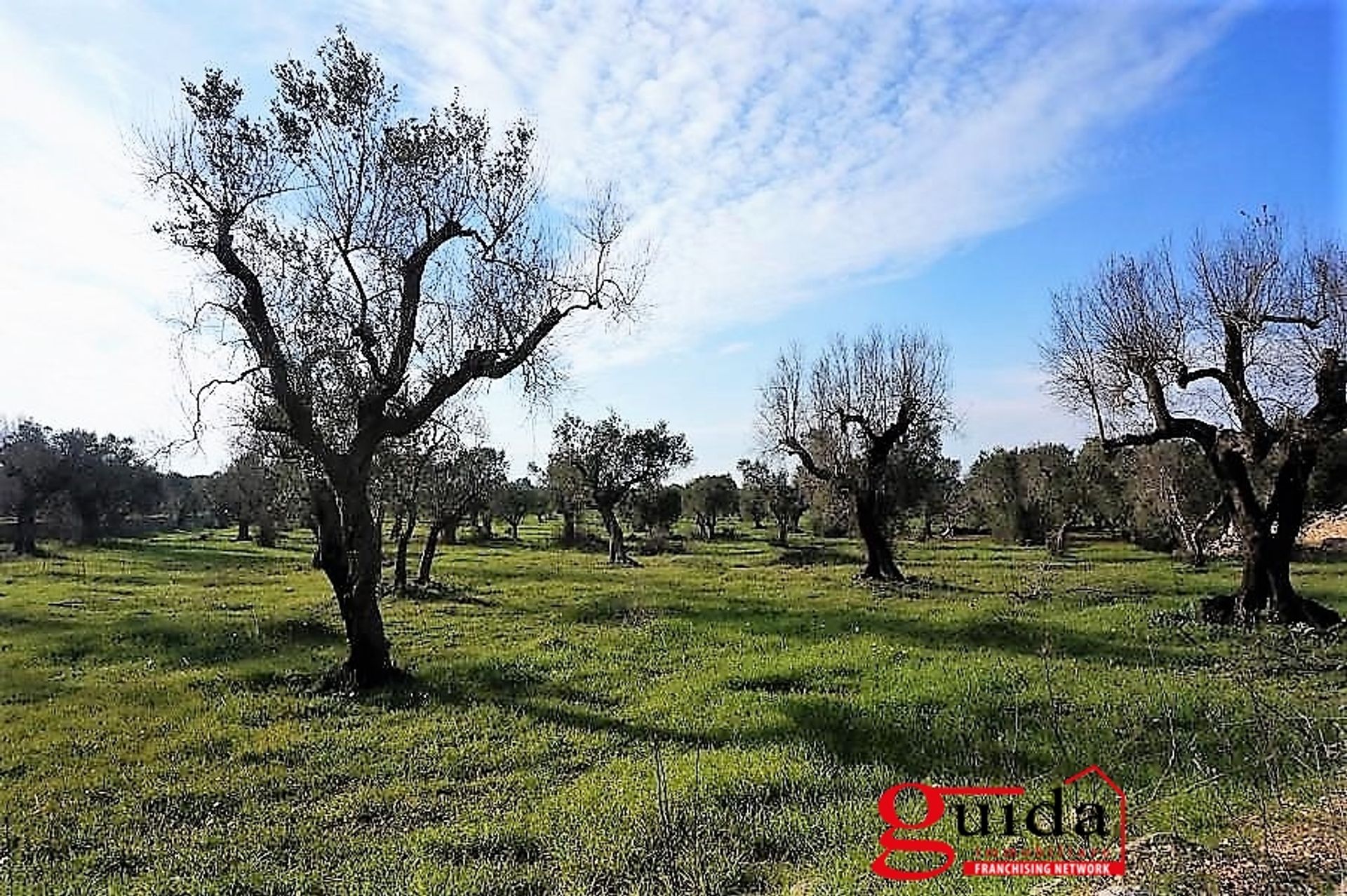 Tanah dalam Casarano, Apulia 10697000