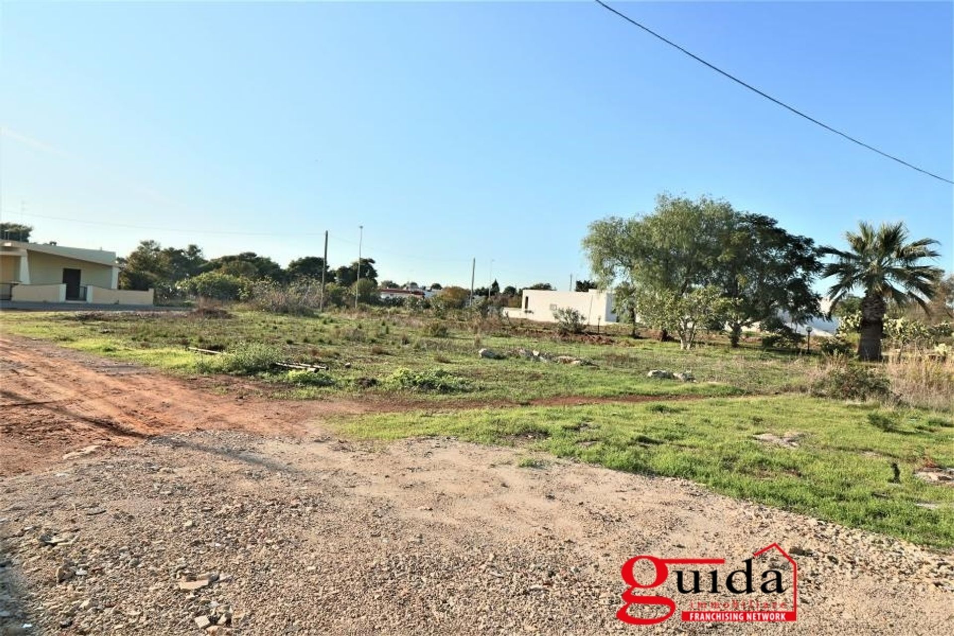 Land im Racale, Apulien 10697001