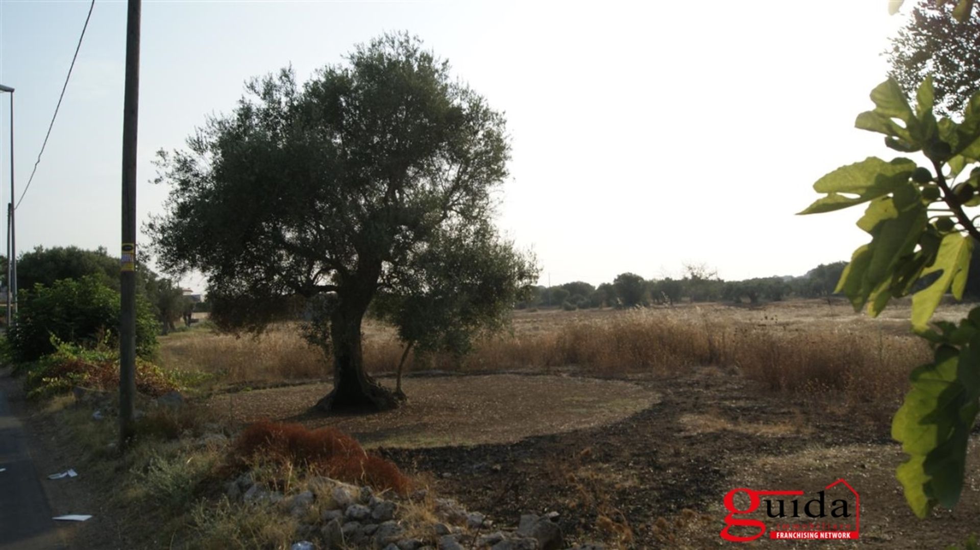 Land i Matino, Puglia 10697002