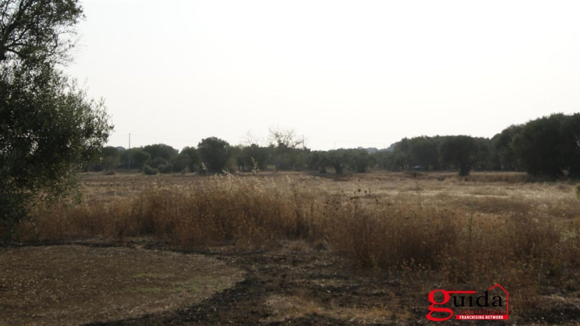 Land i Matino, Puglia 10697002