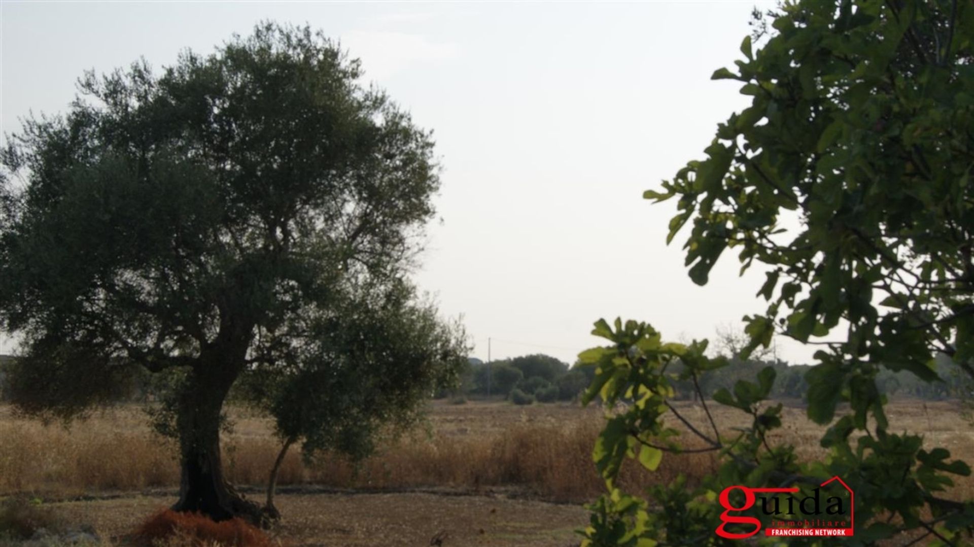 Terre dans Matinée, Pouilles 10697002