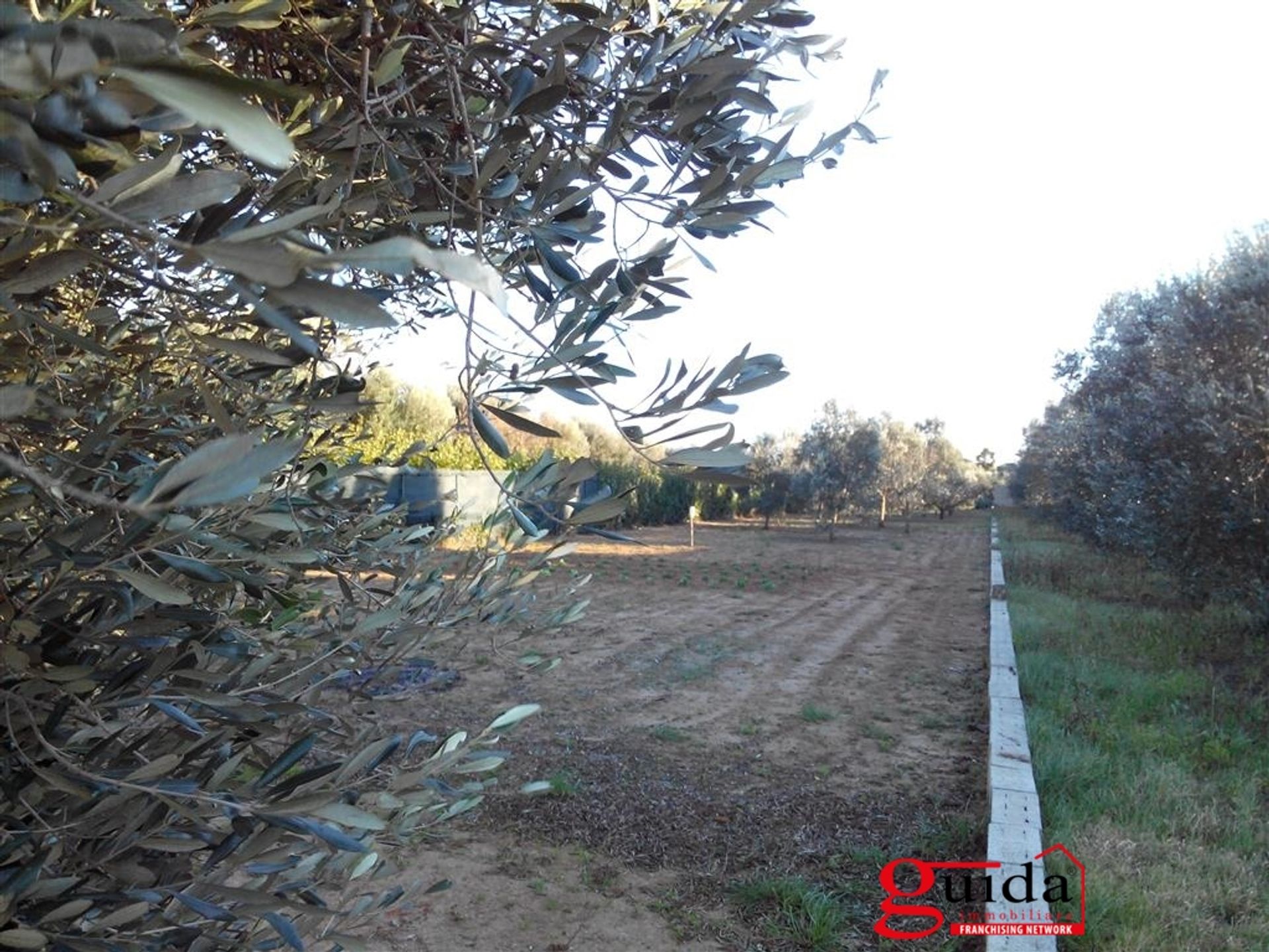 Tierra en Matiño, Apulia 10697005