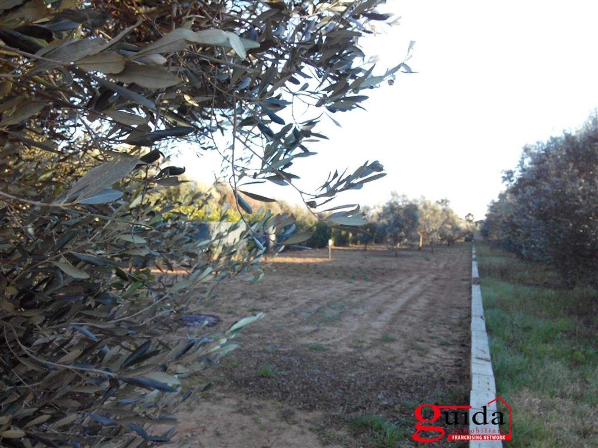 Tierra en Matiño, Apulia 10697005